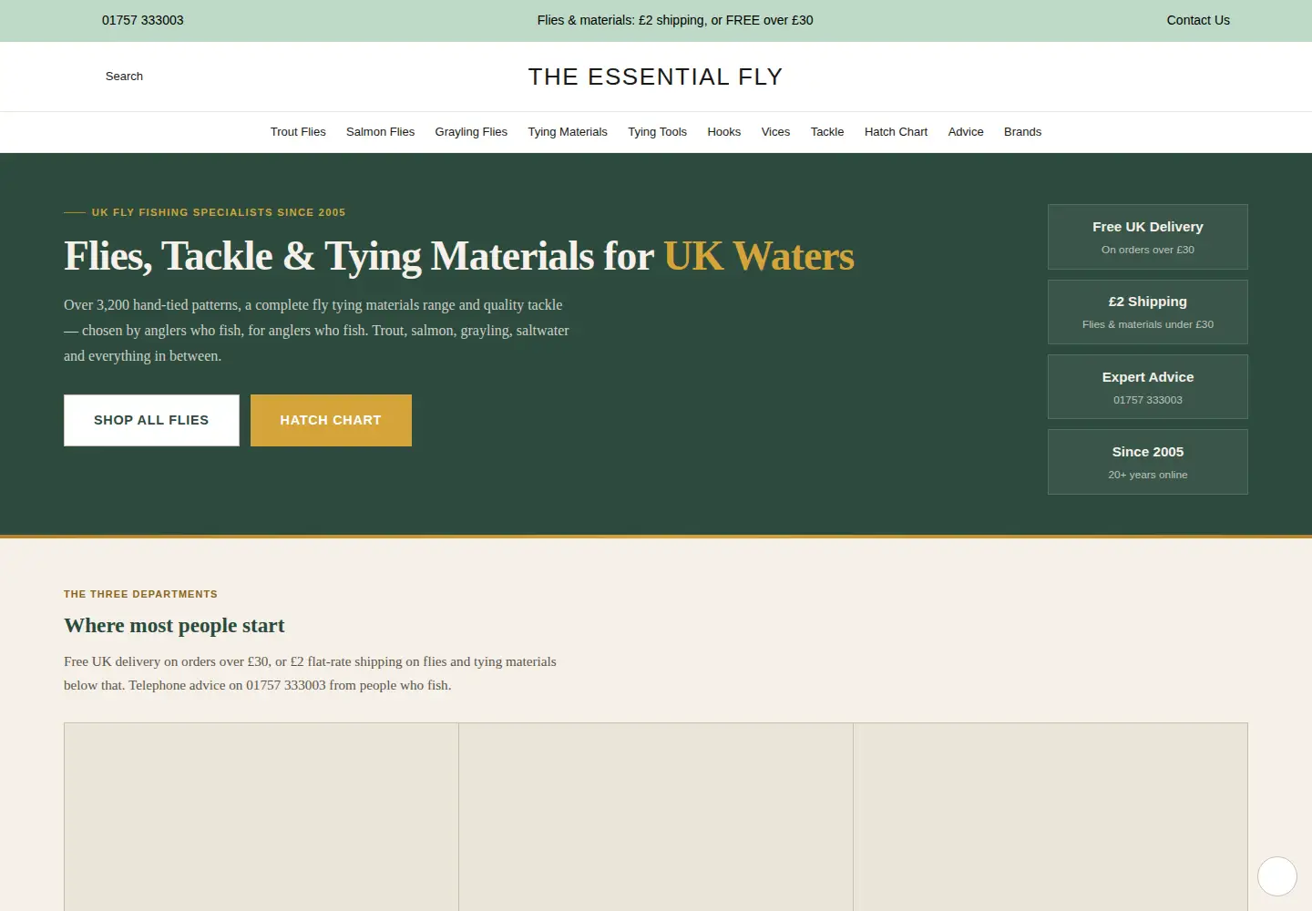 Captured homepage of theessentialfly.com in the current scan