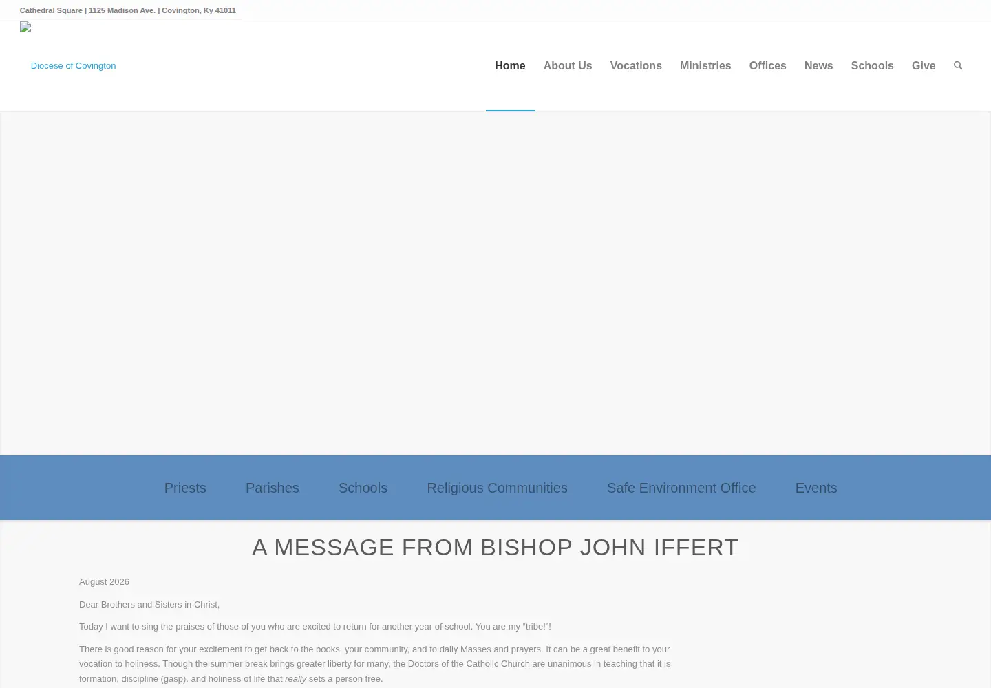 Screenshot of covdio.org