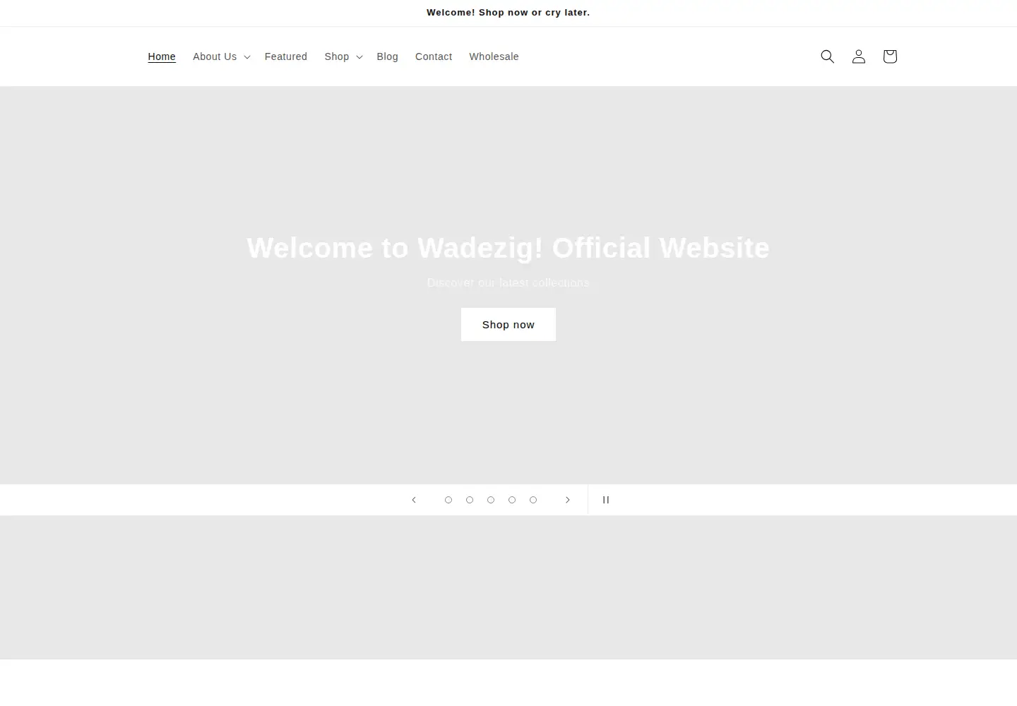 Screenshot of wadezig.com