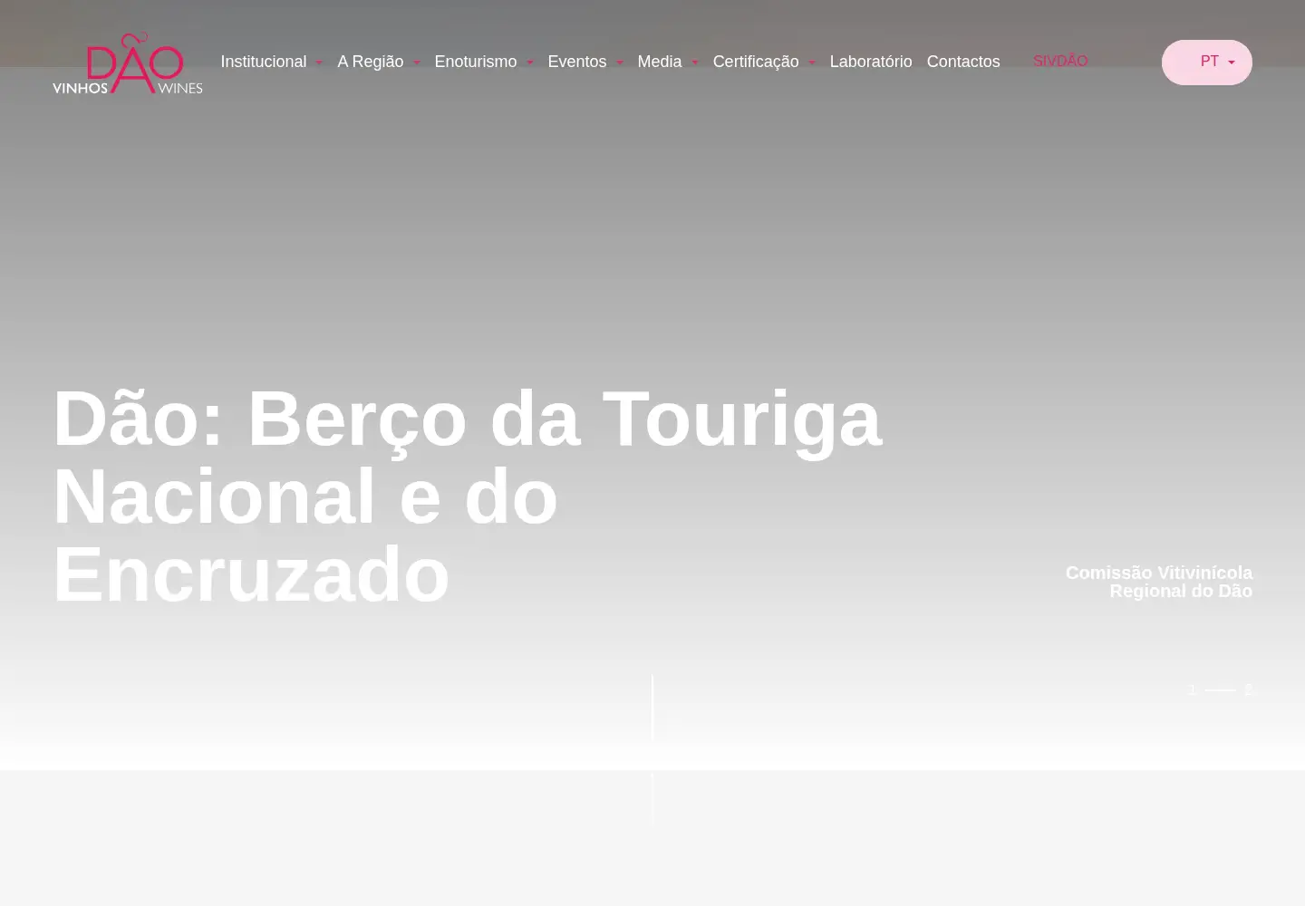 Screenshot of cvrdao.pt