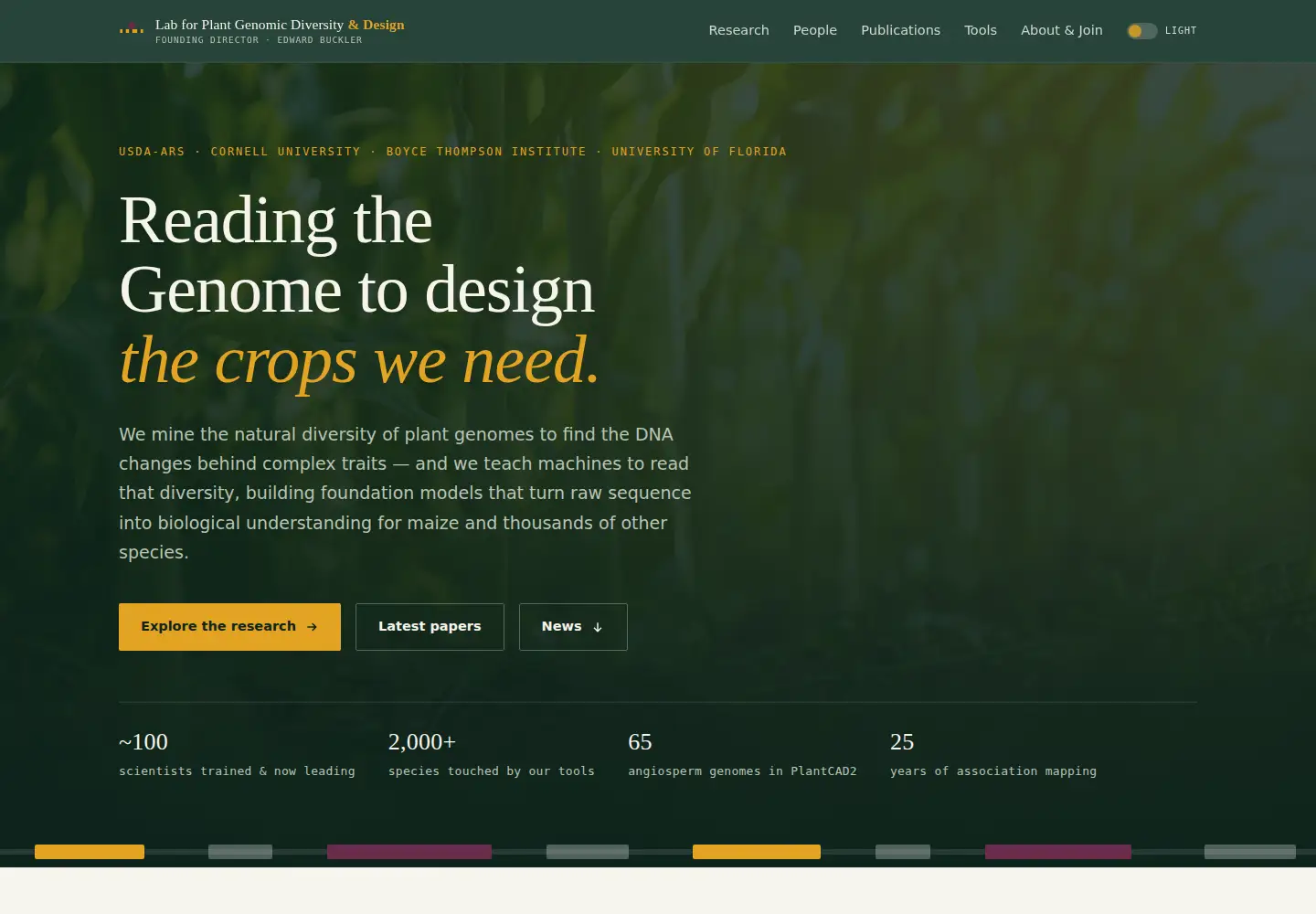 Screenshot of maizegenetics.net
