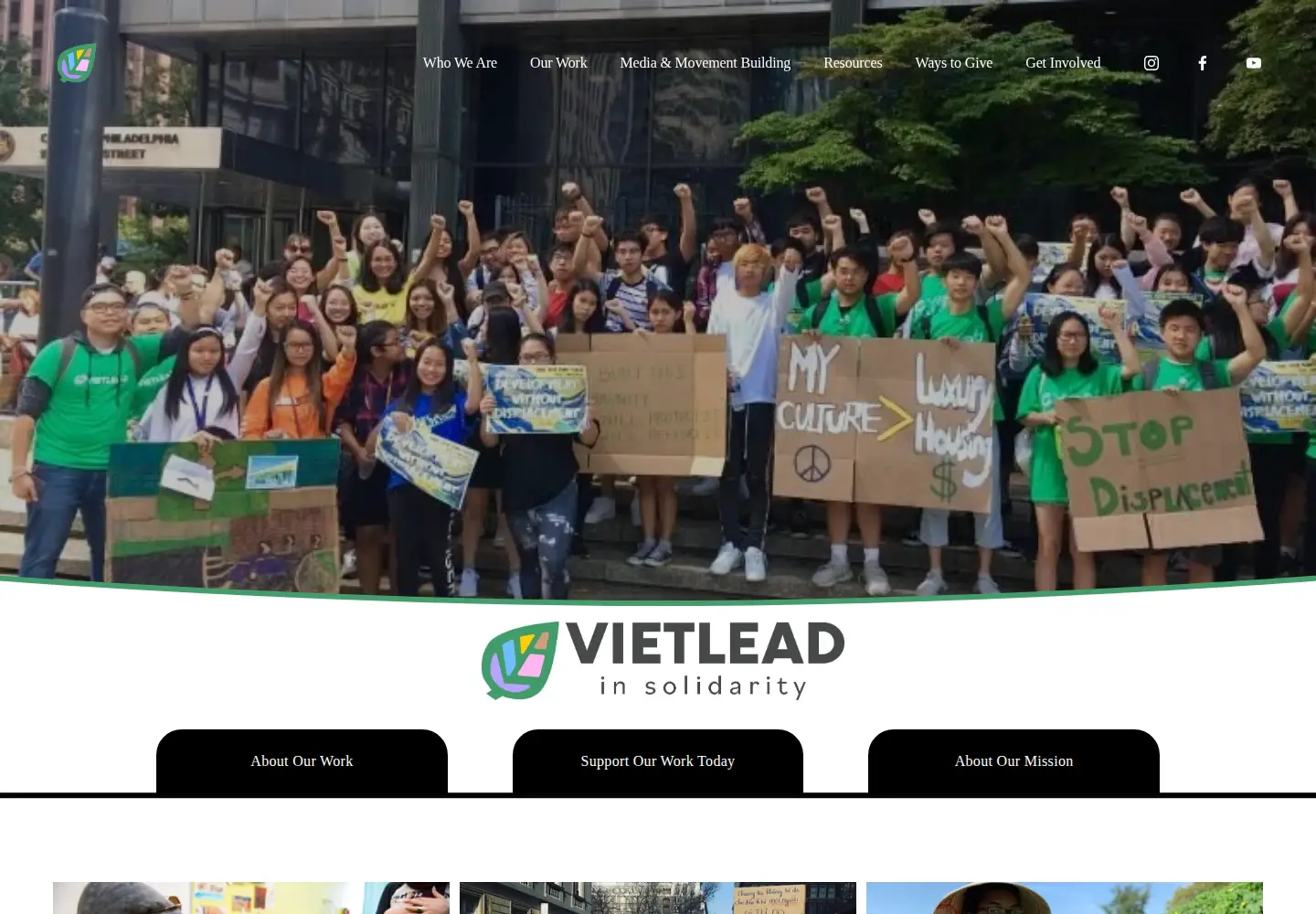 Captured homepage of vietlead.org in the current scan