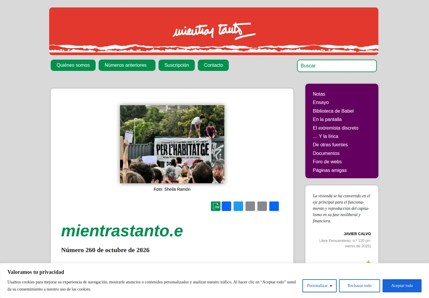 Captured homepage of mientrastanto.org in the current scan