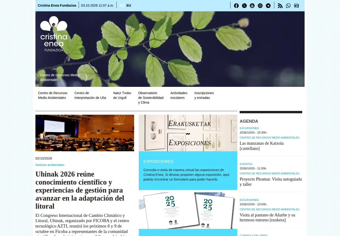 Screenshot of cristinaenea.eus