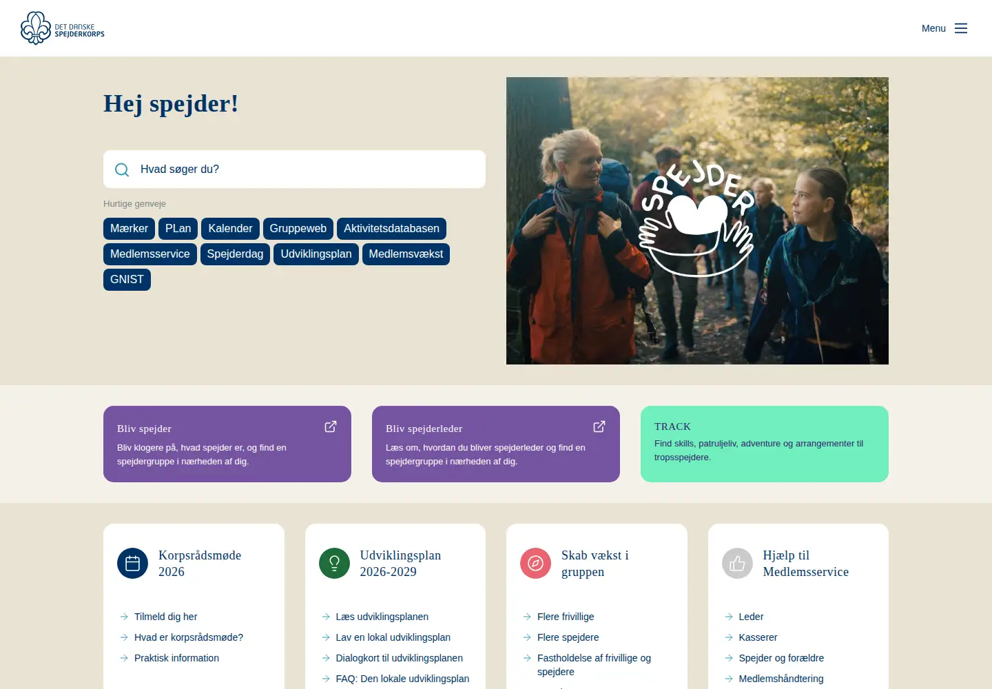 Screenshot of dds.dk