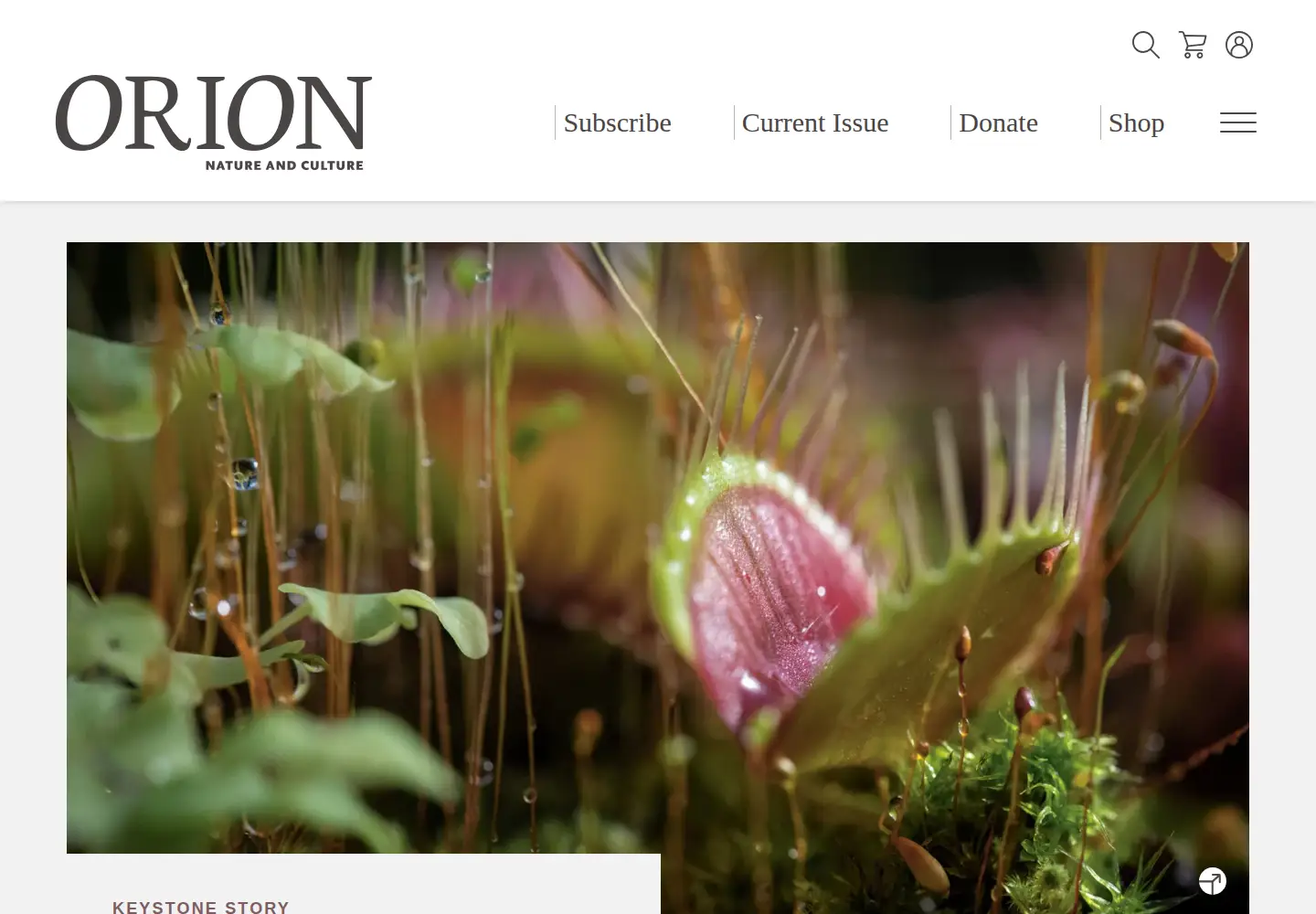 Captured homepage of oriononline.org in the current scan