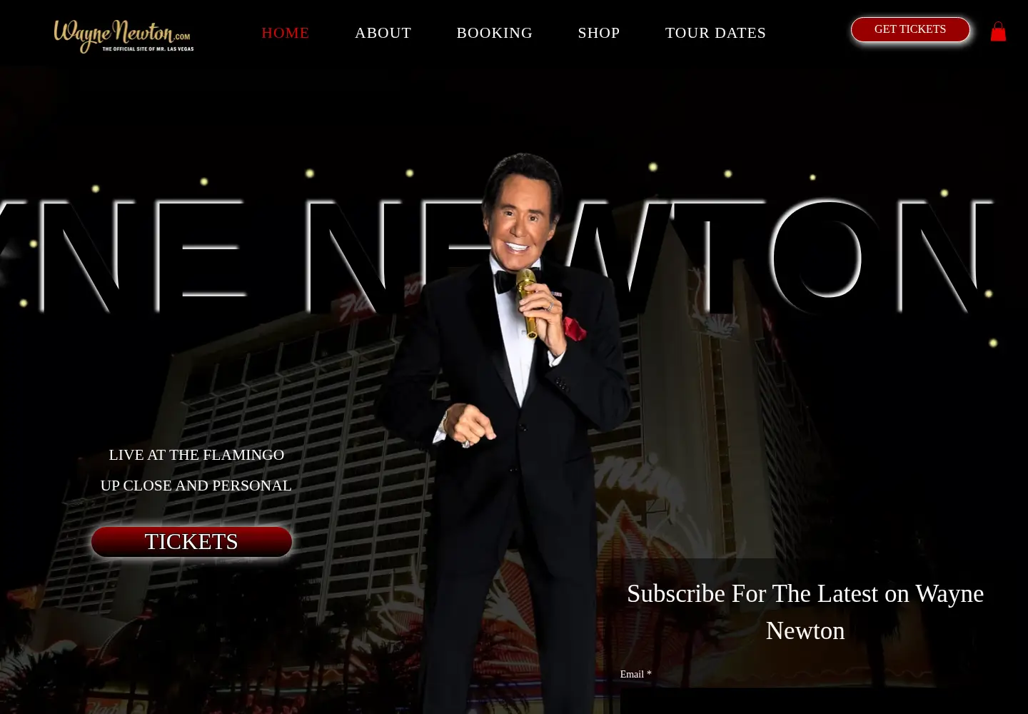 Screenshot of waynenewton.com