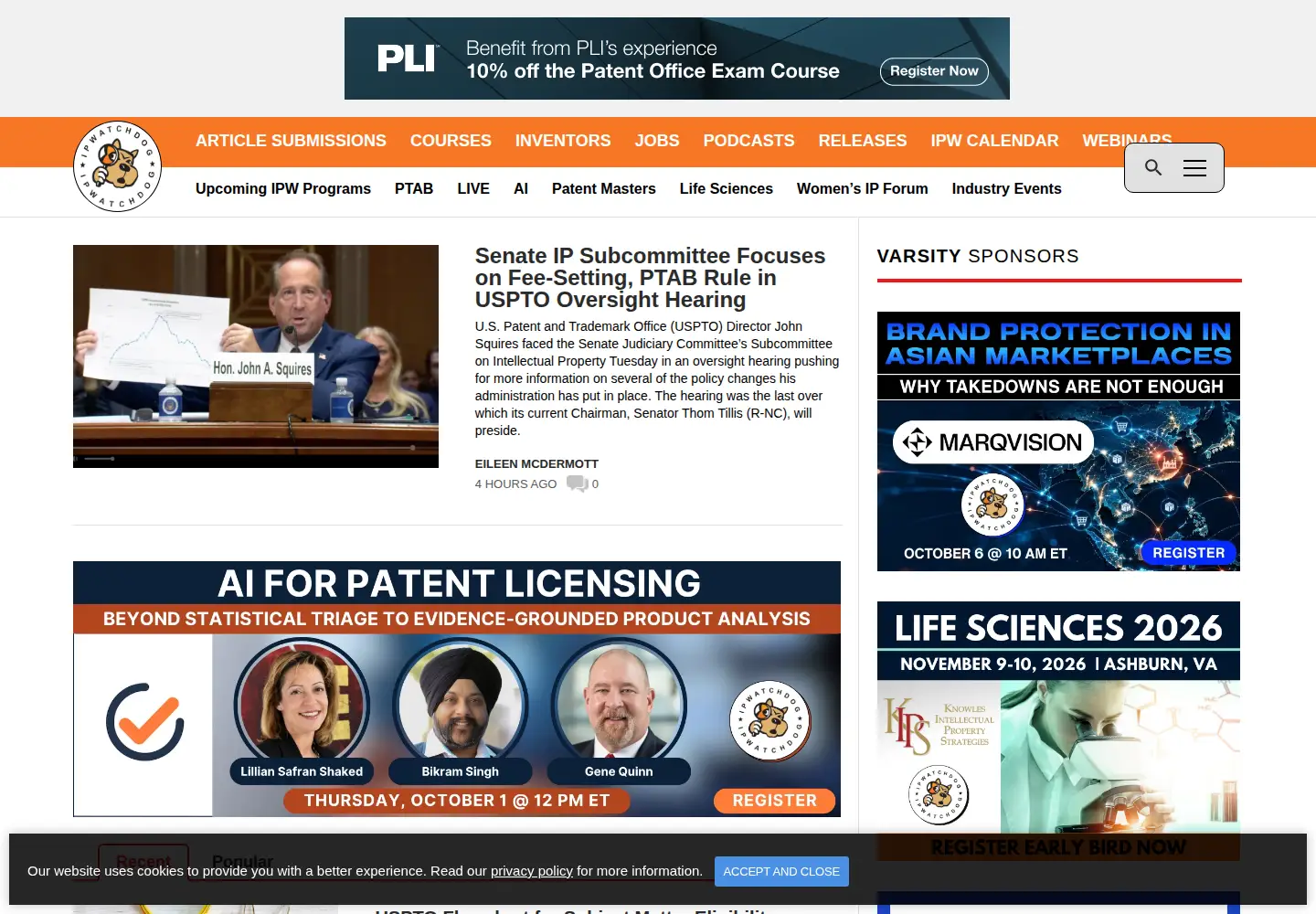 Screenshot of ipwatchdog.com