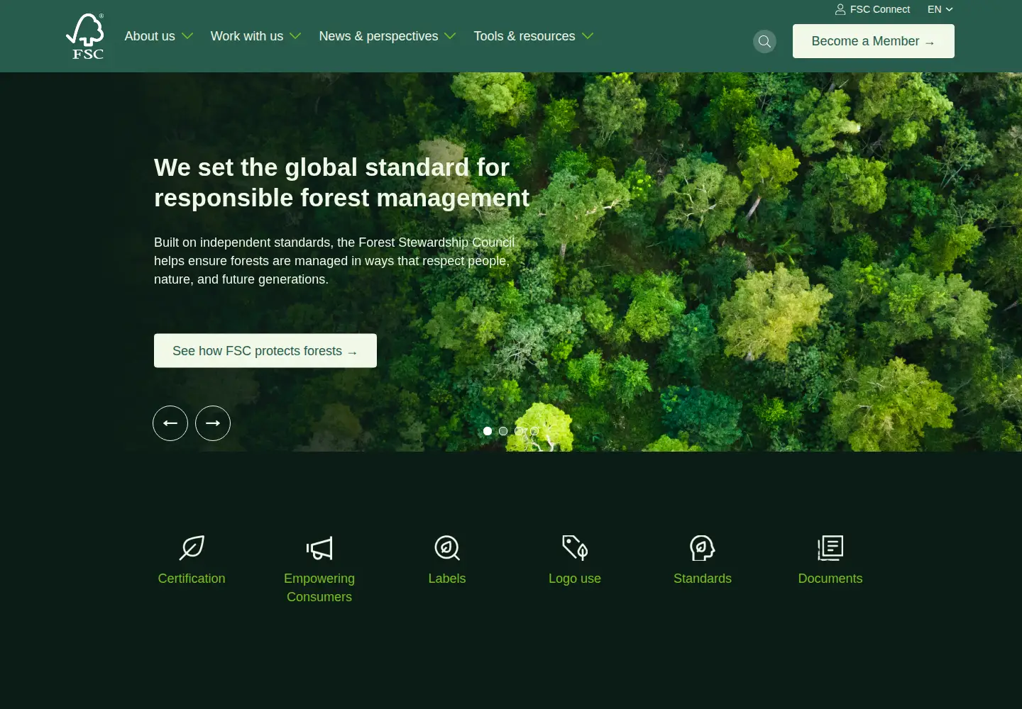 Screenshot of fsc.org