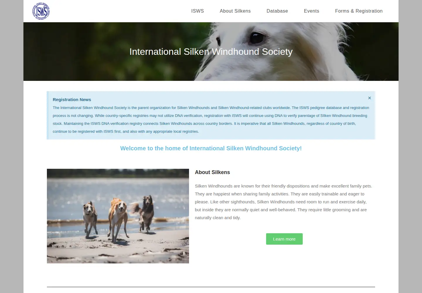 Captured homepage of silkenwindhounds.org in the current scan