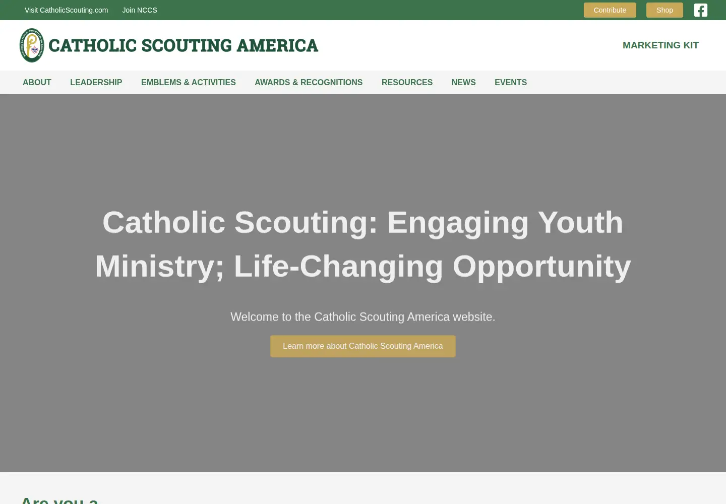 Captured homepage of nccs-bsa.org in the current scan
