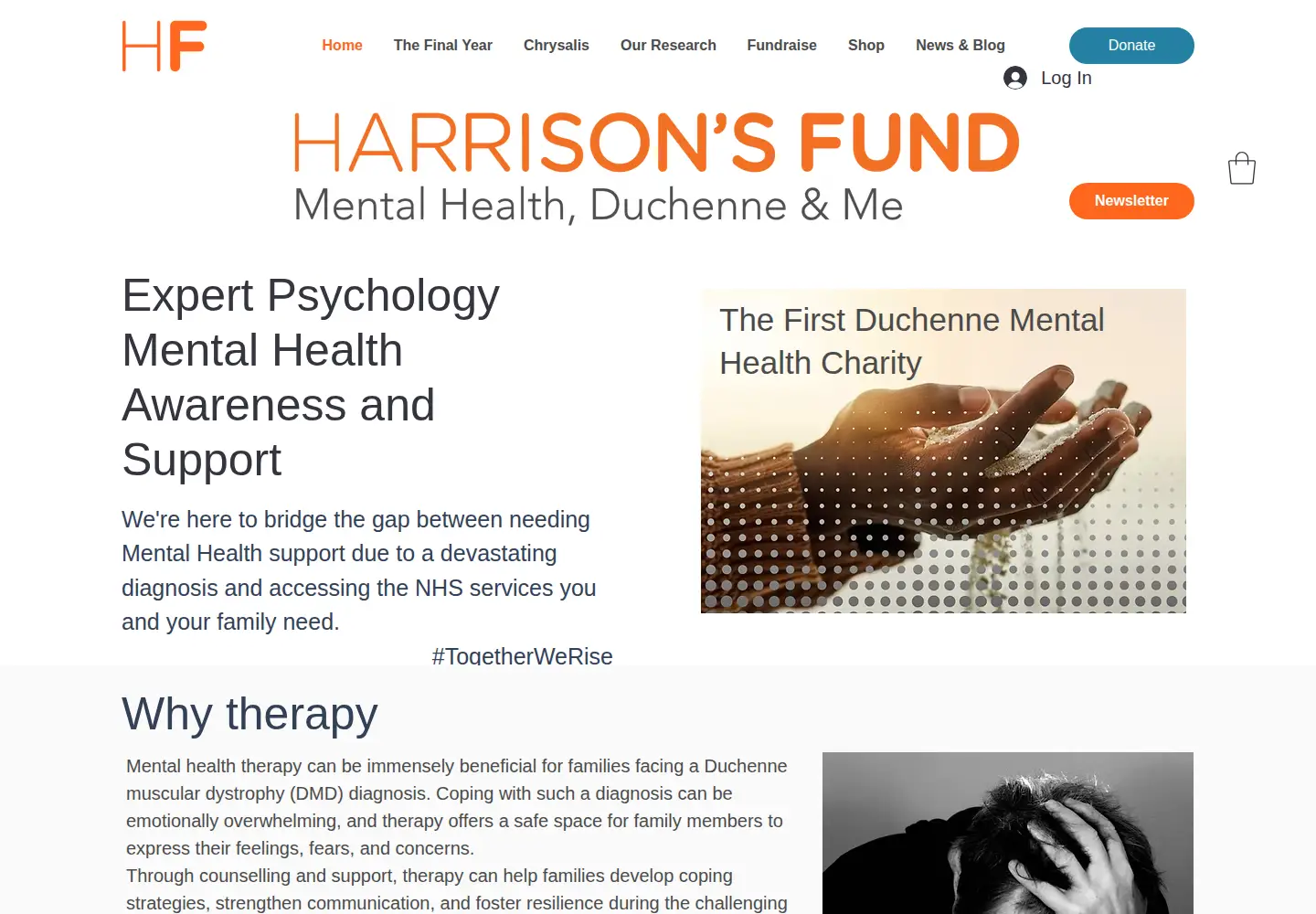 Captured homepage of harrisonsfund.com in the current scan