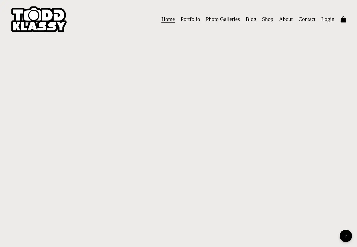 Screenshot of toddklassy.com