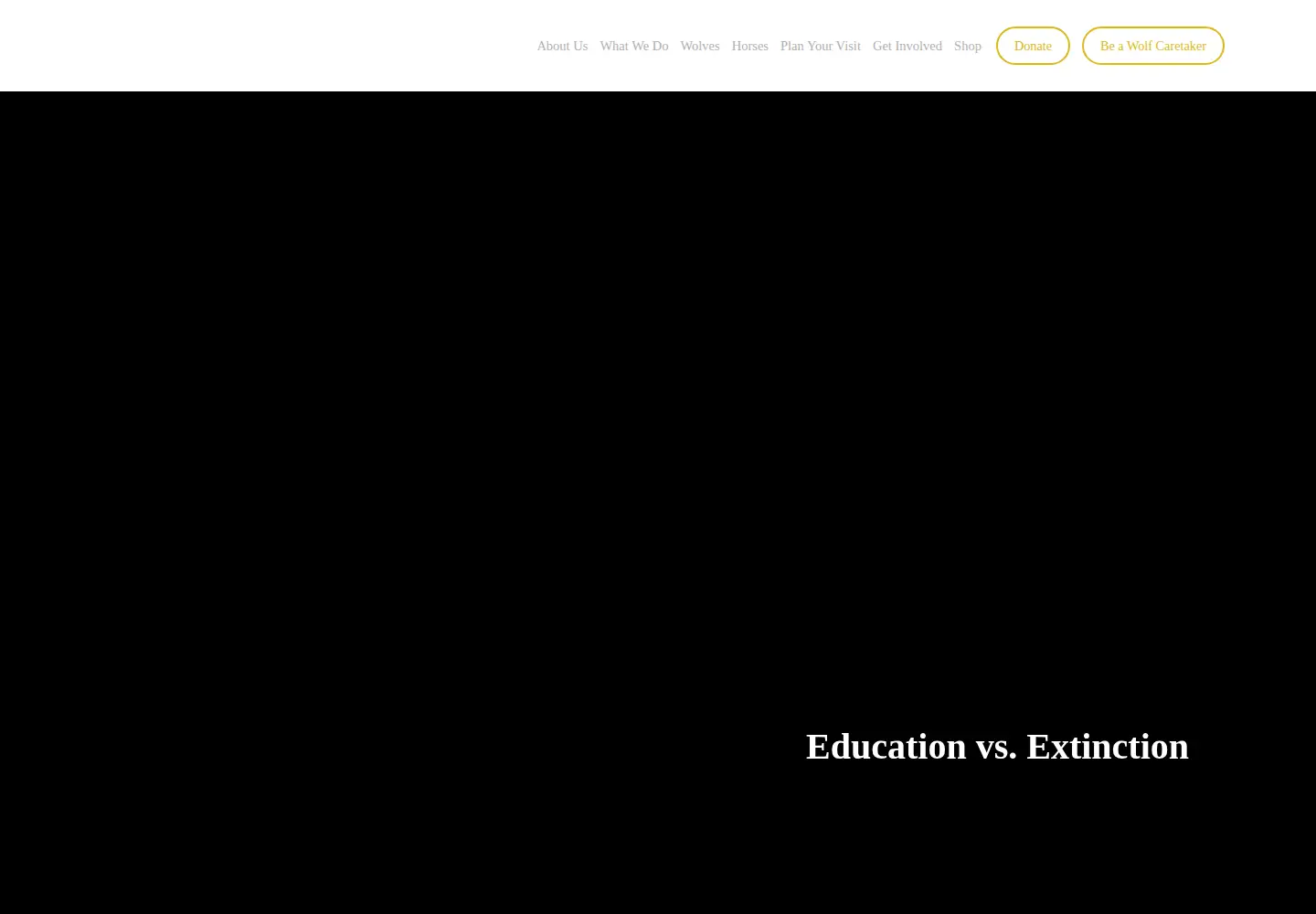 Screenshot of missionwolf.com