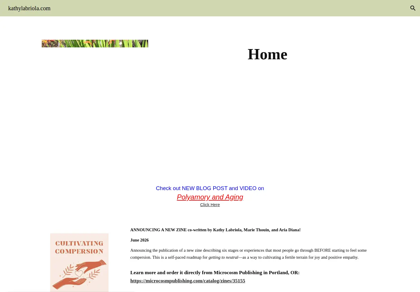 Screenshot of kathylabriola.com