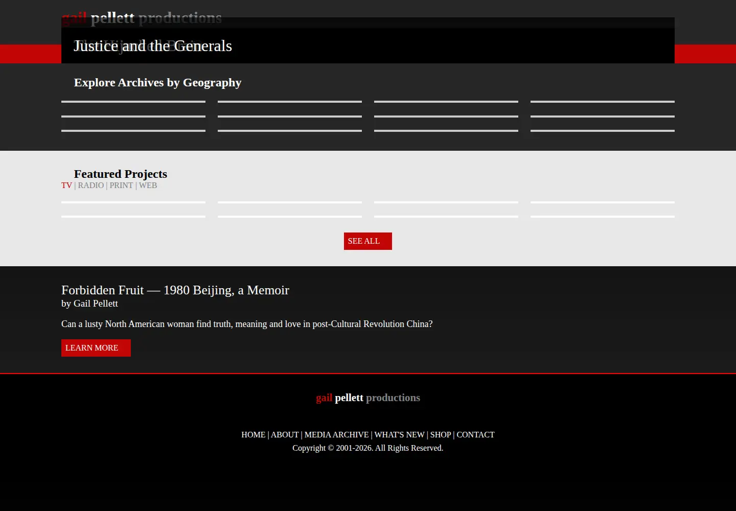 Captured homepage of gailpellettproductions.com in the current scan