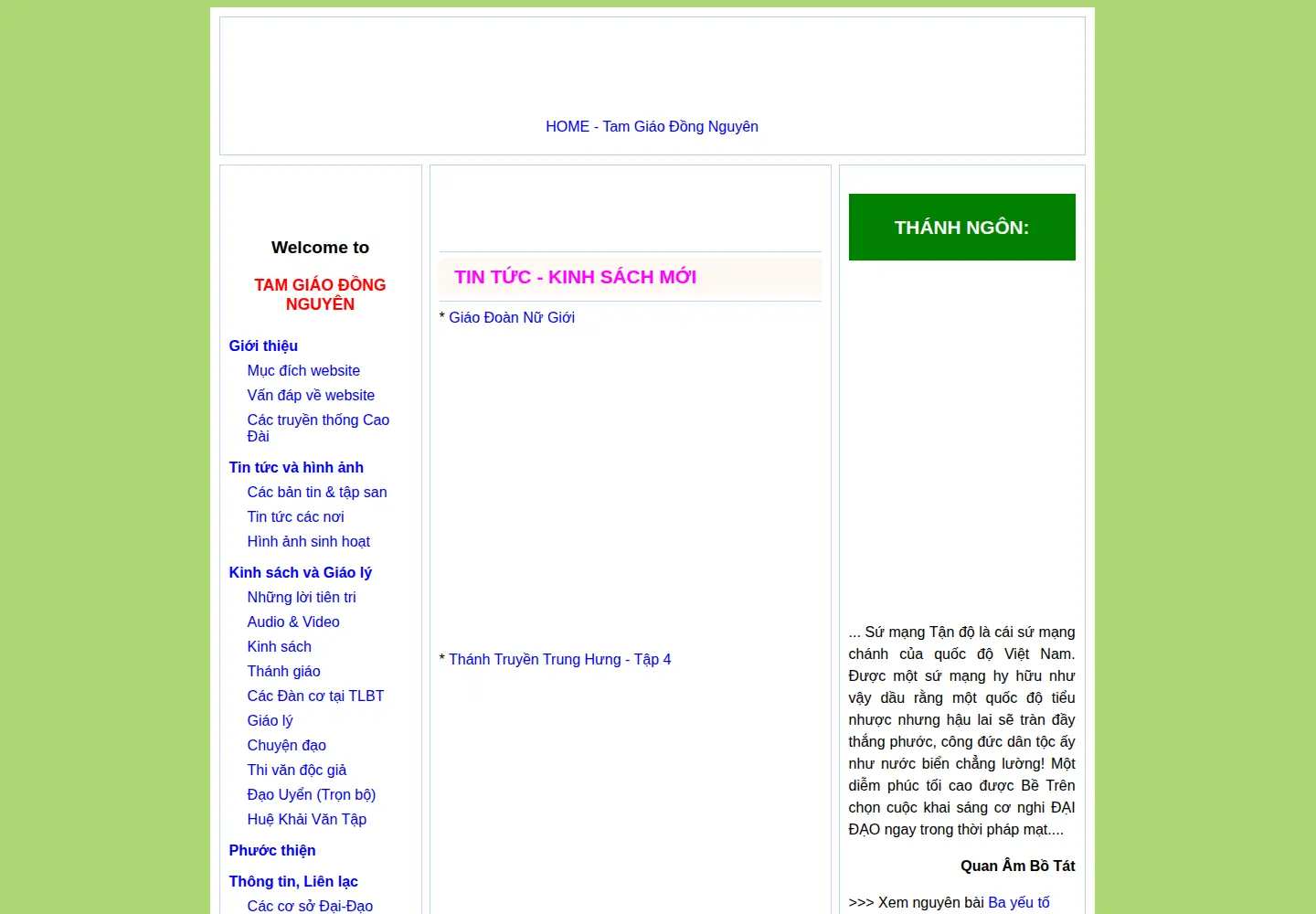 Captured homepage of thienlybuutoa.org in the current scan
