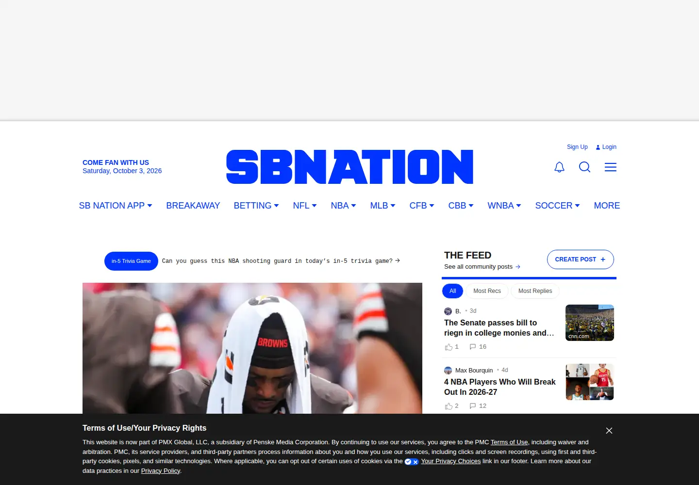 Screenshot of ourdailybears.com