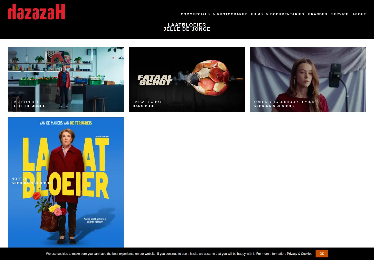 Captured homepage of hazazah.nl in the current scan