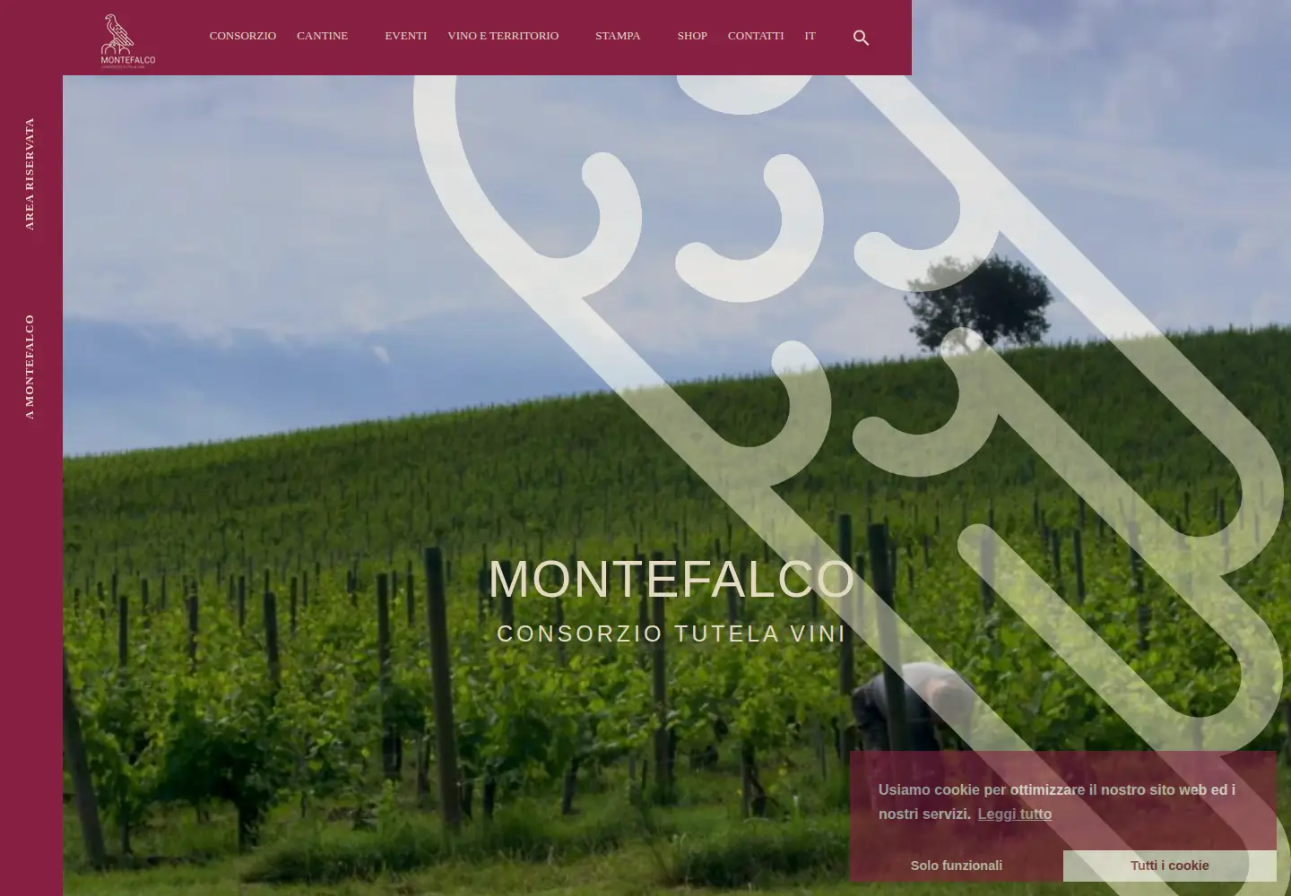 Captured homepage of consorziomontefalco.it in the current scan