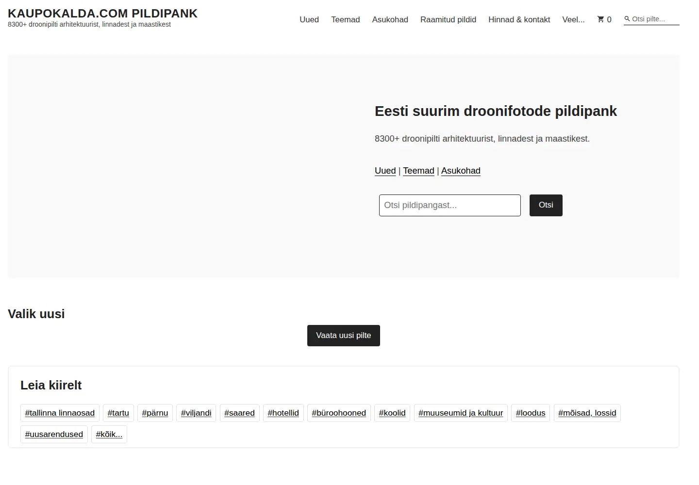 Captured homepage of kaupokalda.com in the current scan