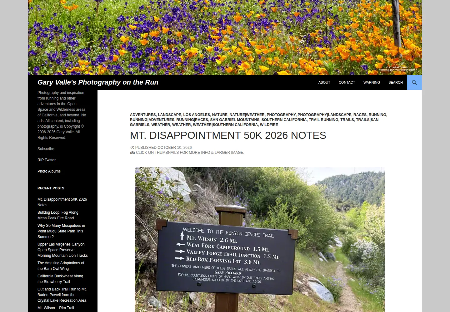 Captured homepage of photographyontherun.com in the current scan