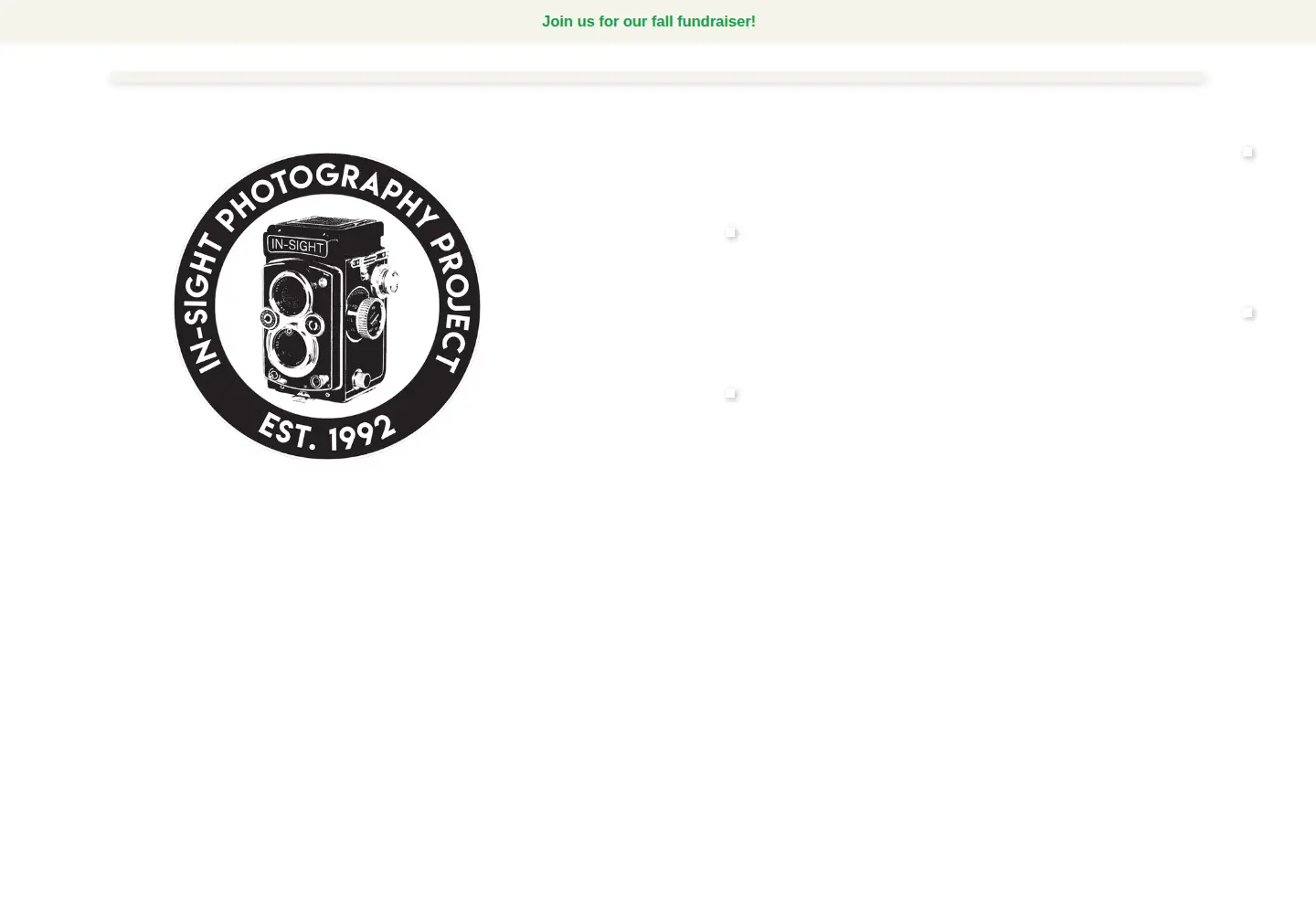 Captured homepage of insight-photography.org in the current scan