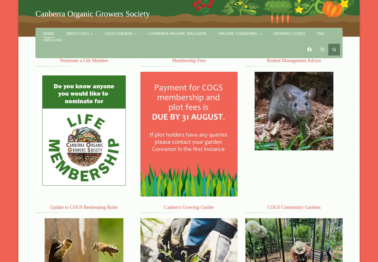 Screenshot of cogs.asn.au