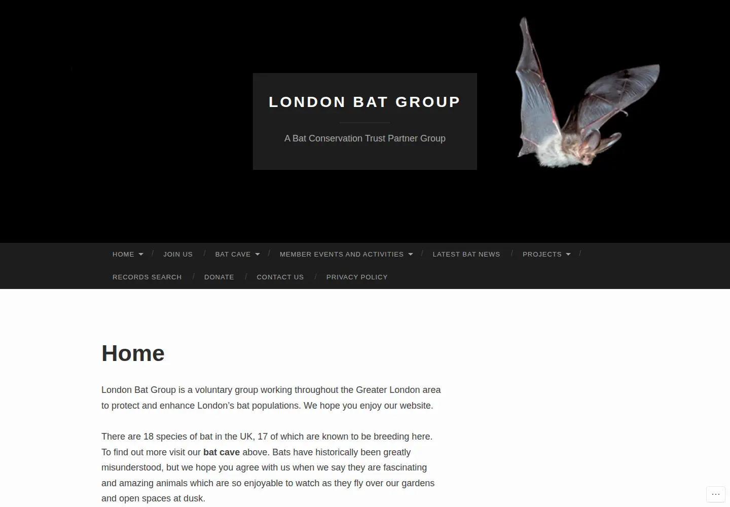 Captured homepage of londonbats.org.uk in the current scan
