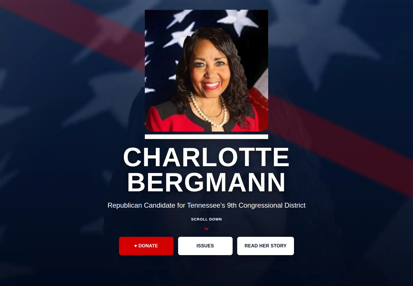 Captured homepage of bergmannforcongress.com in the current scan