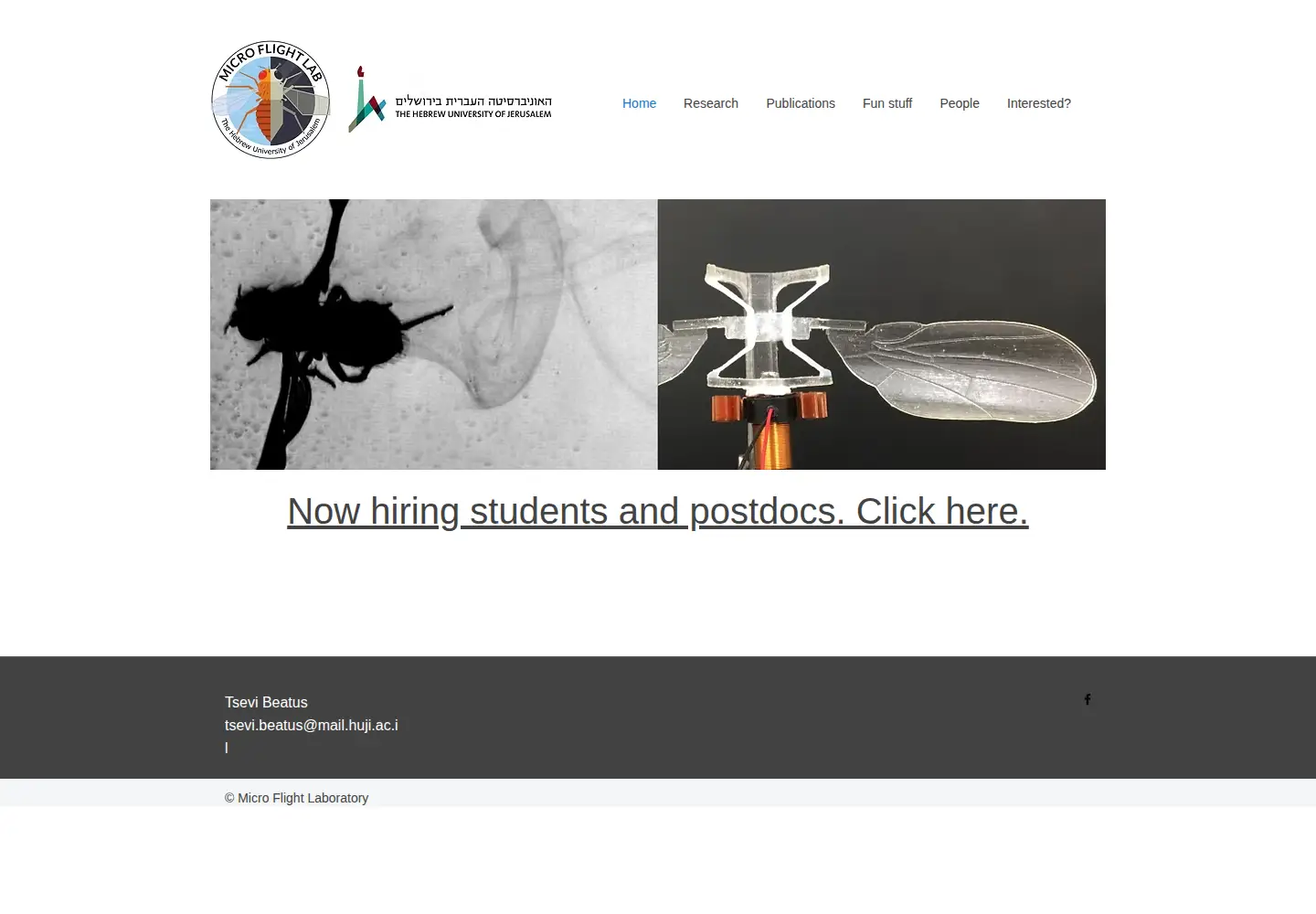 Screenshot of beatus-lab.org