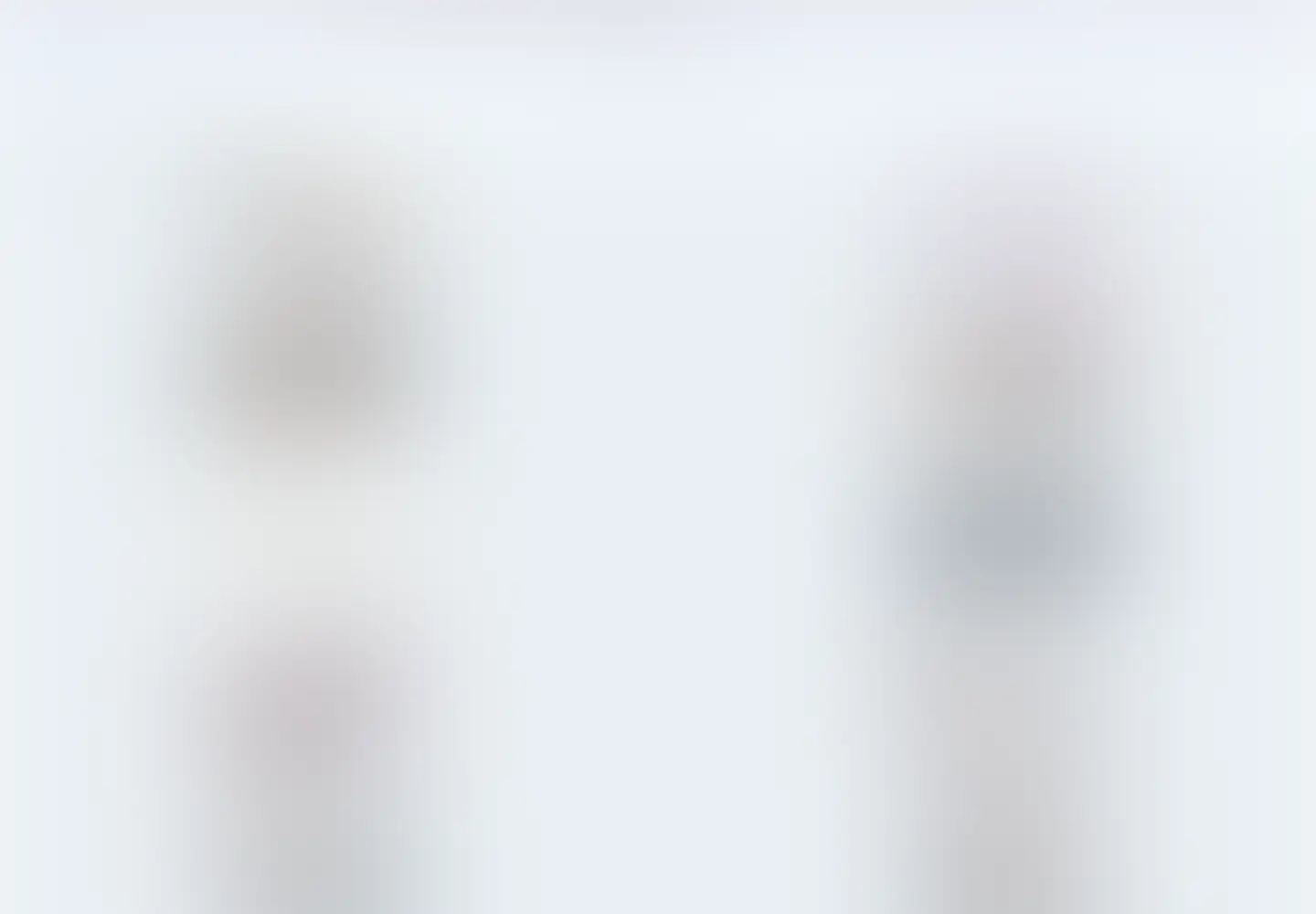 Blurred age-restricted screenshot of super-bowl-history.us in the current scan