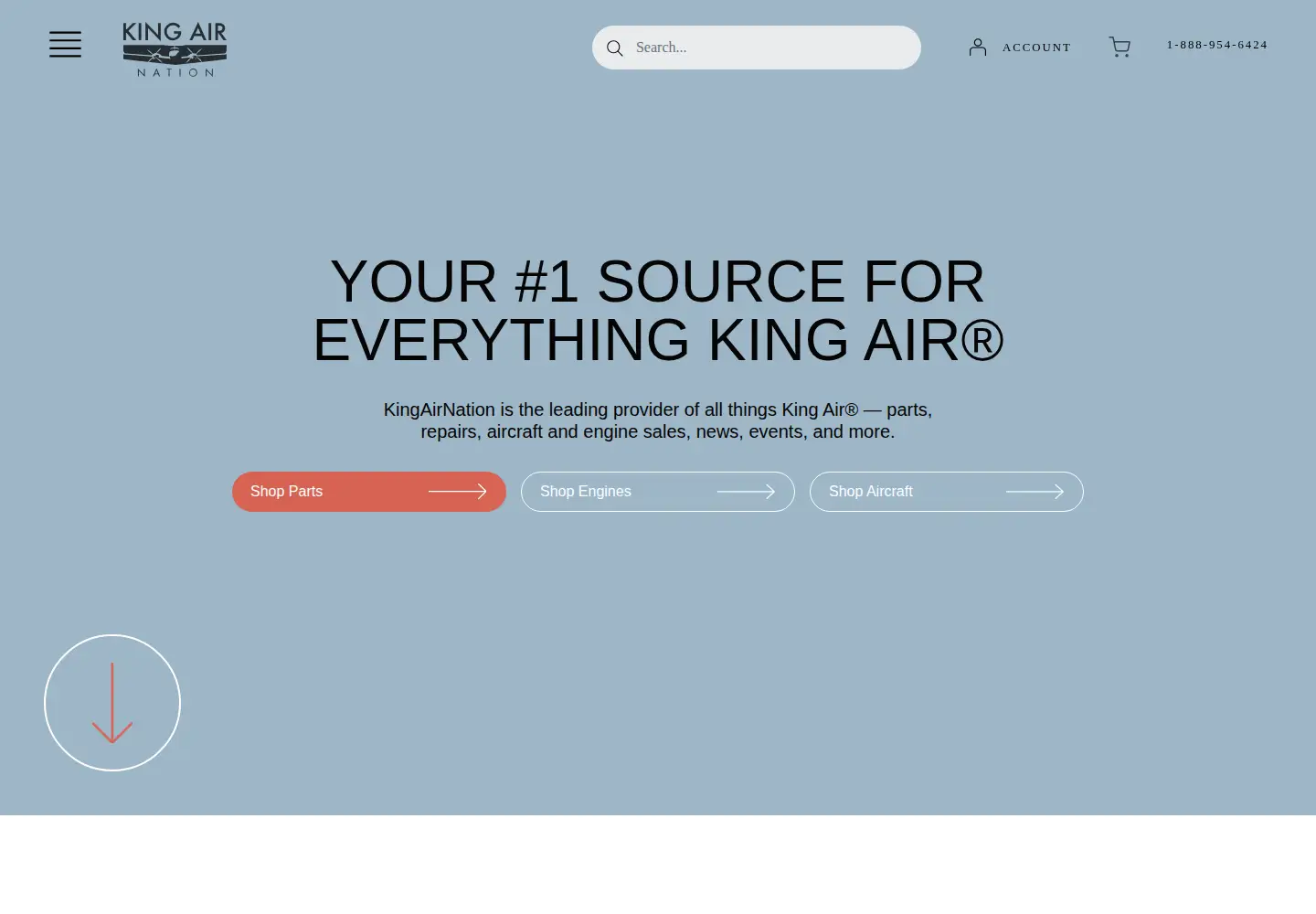 Screenshot of kingairnation.com