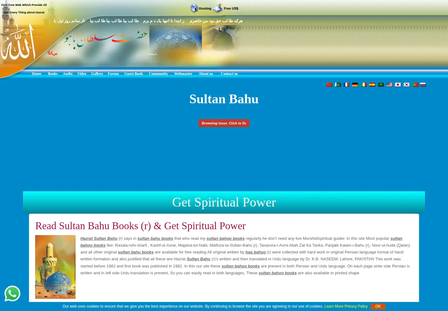 Screenshot of hazratsultanbahu.com