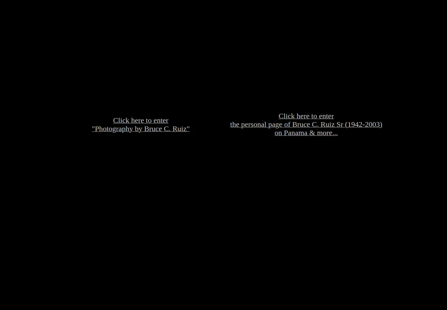 Screenshot of bruceruiz.net