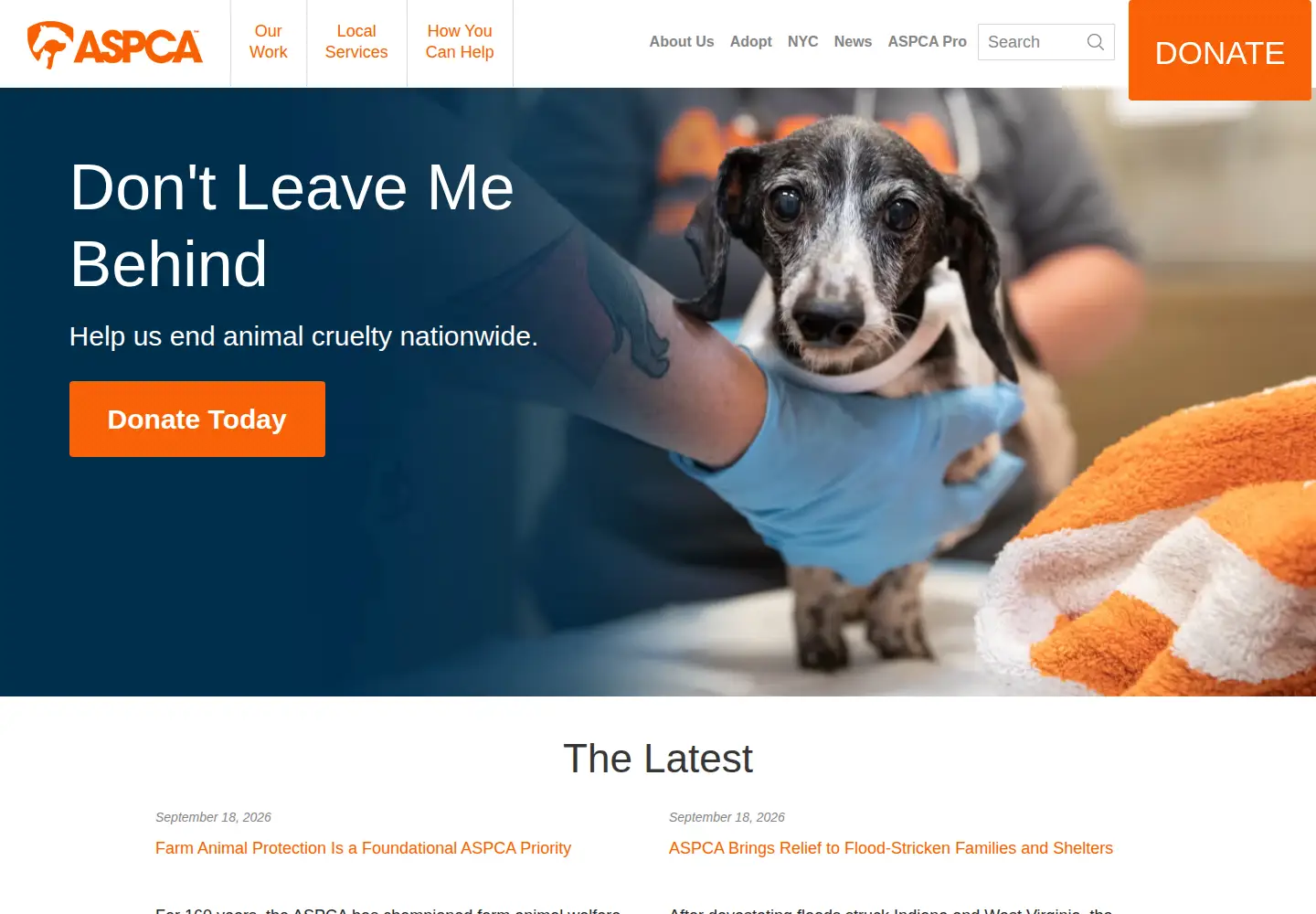 Screenshot of aspca.org