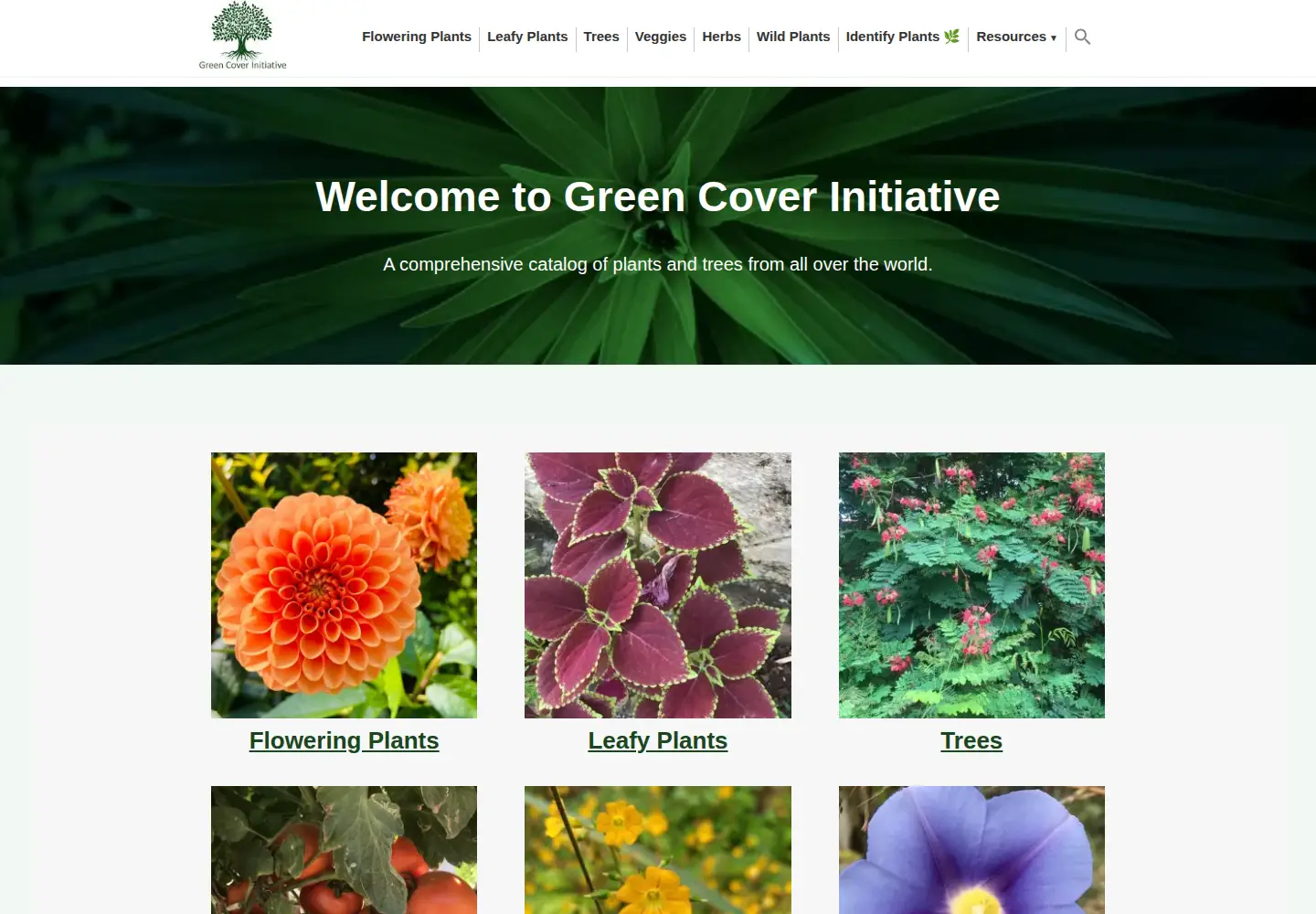 Screenshot of greencoverinitiative.com