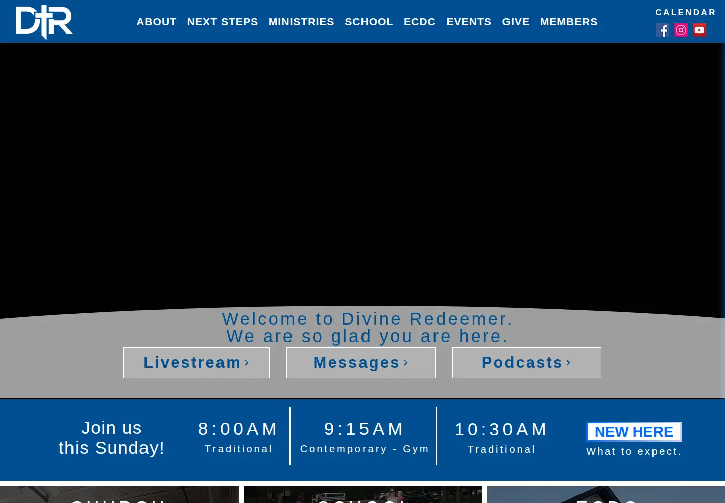 Screenshot of drlc.org