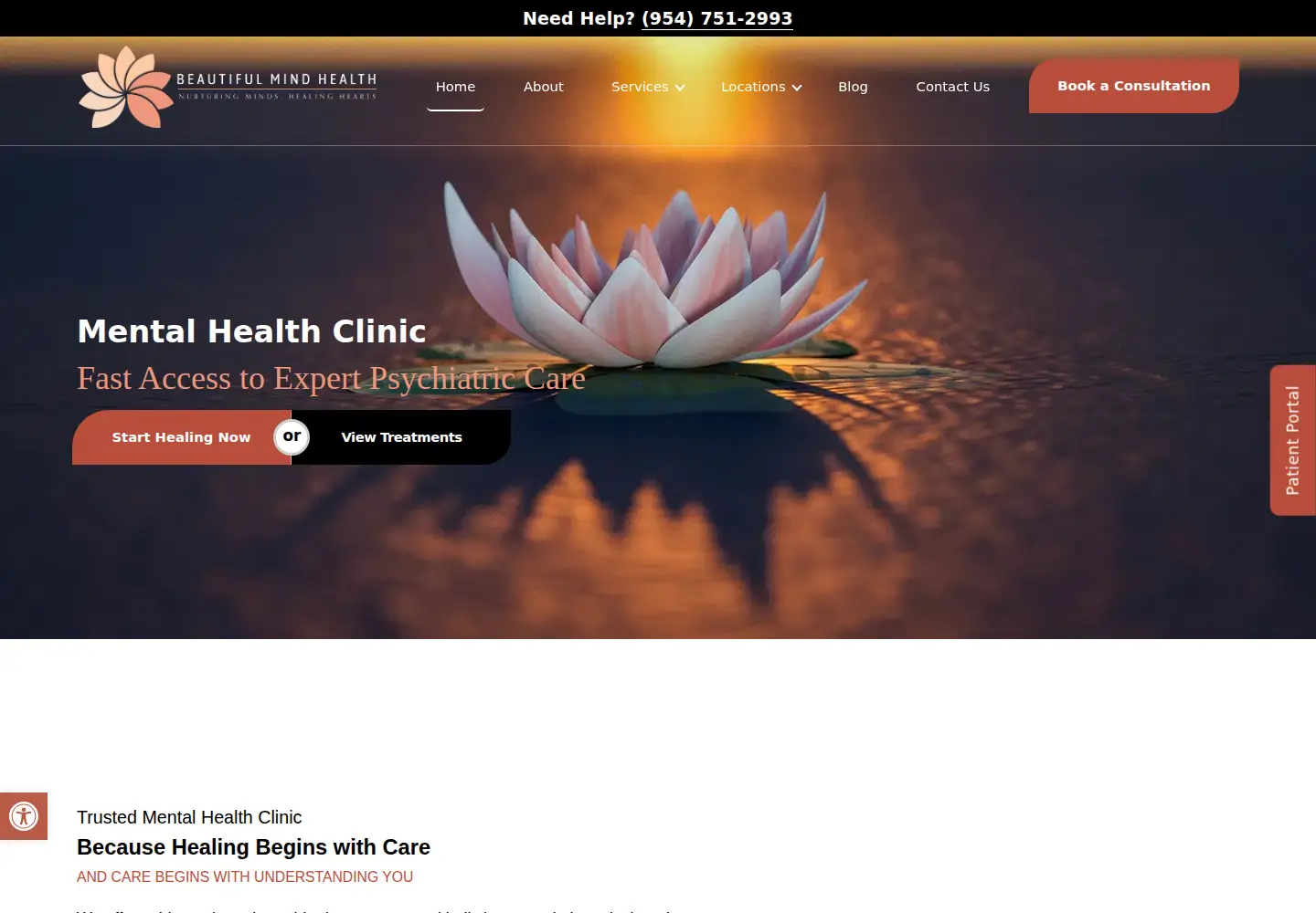 Captured homepage of beautifulmindhealth.com in the current scan