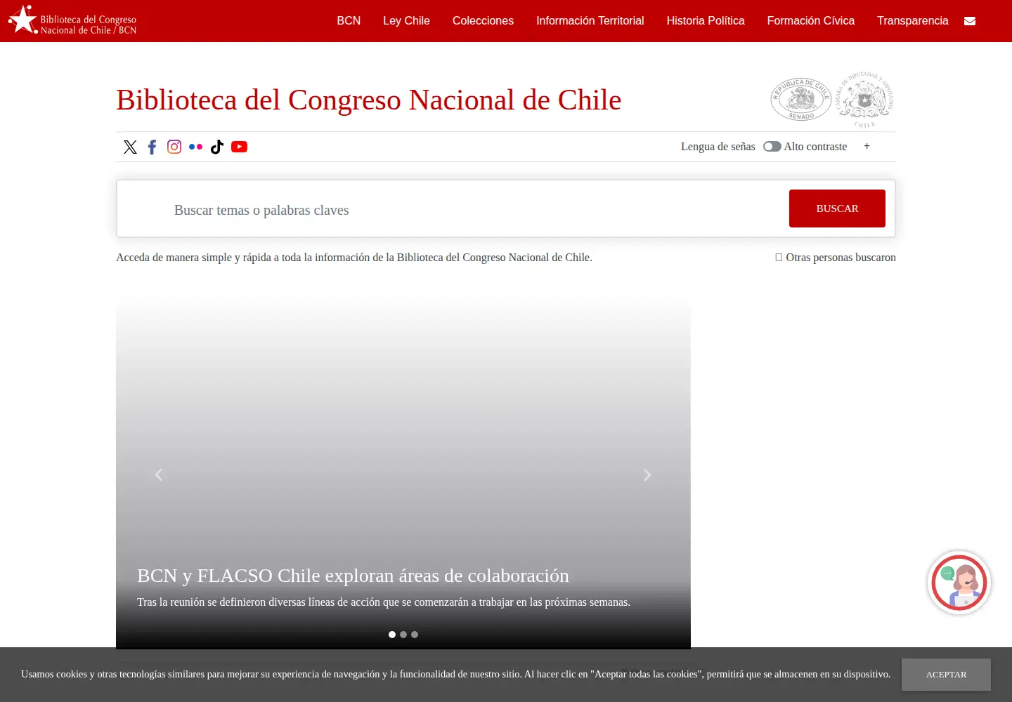 Screenshot of bcn.cl