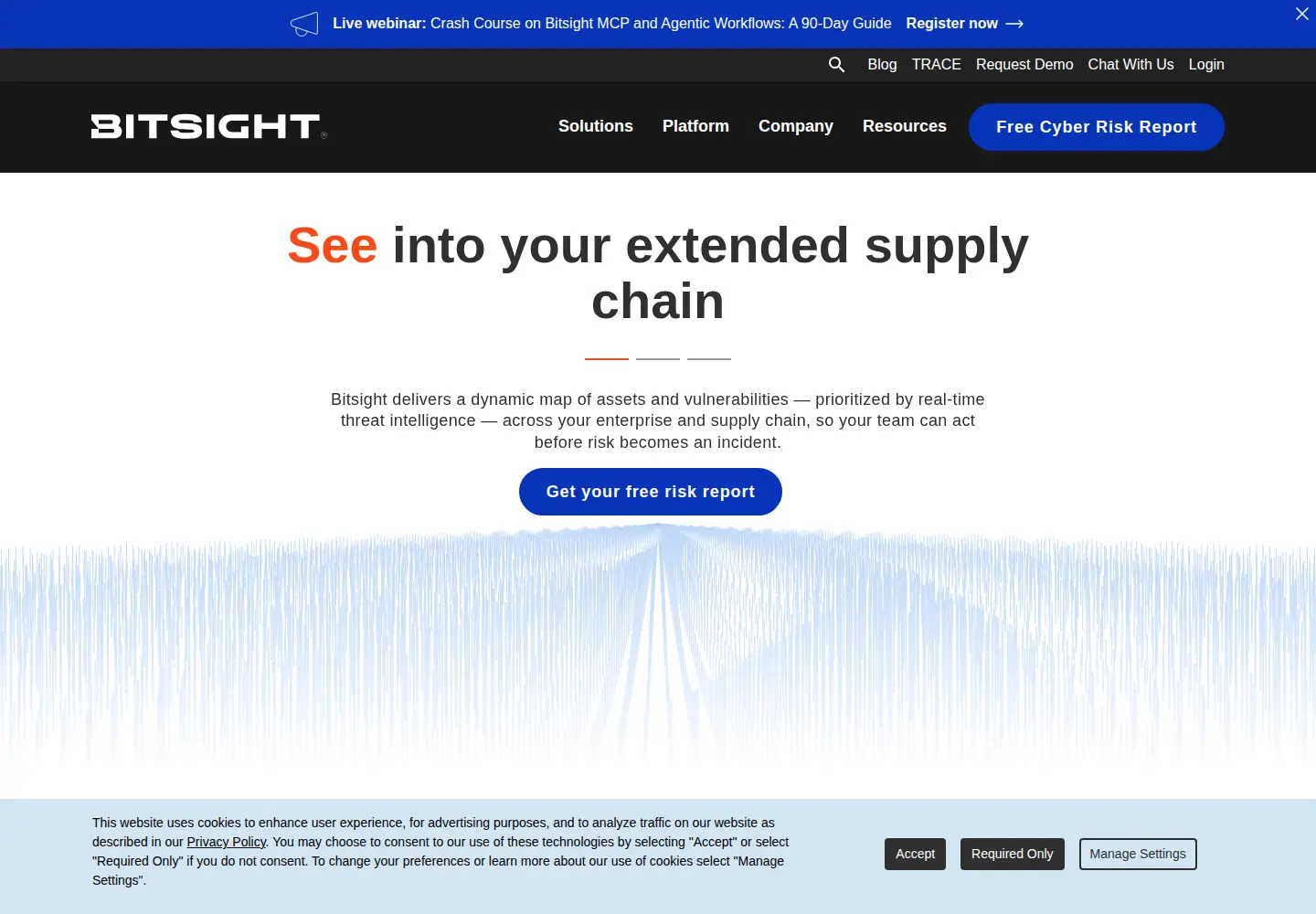 Screenshot of bitsight.com