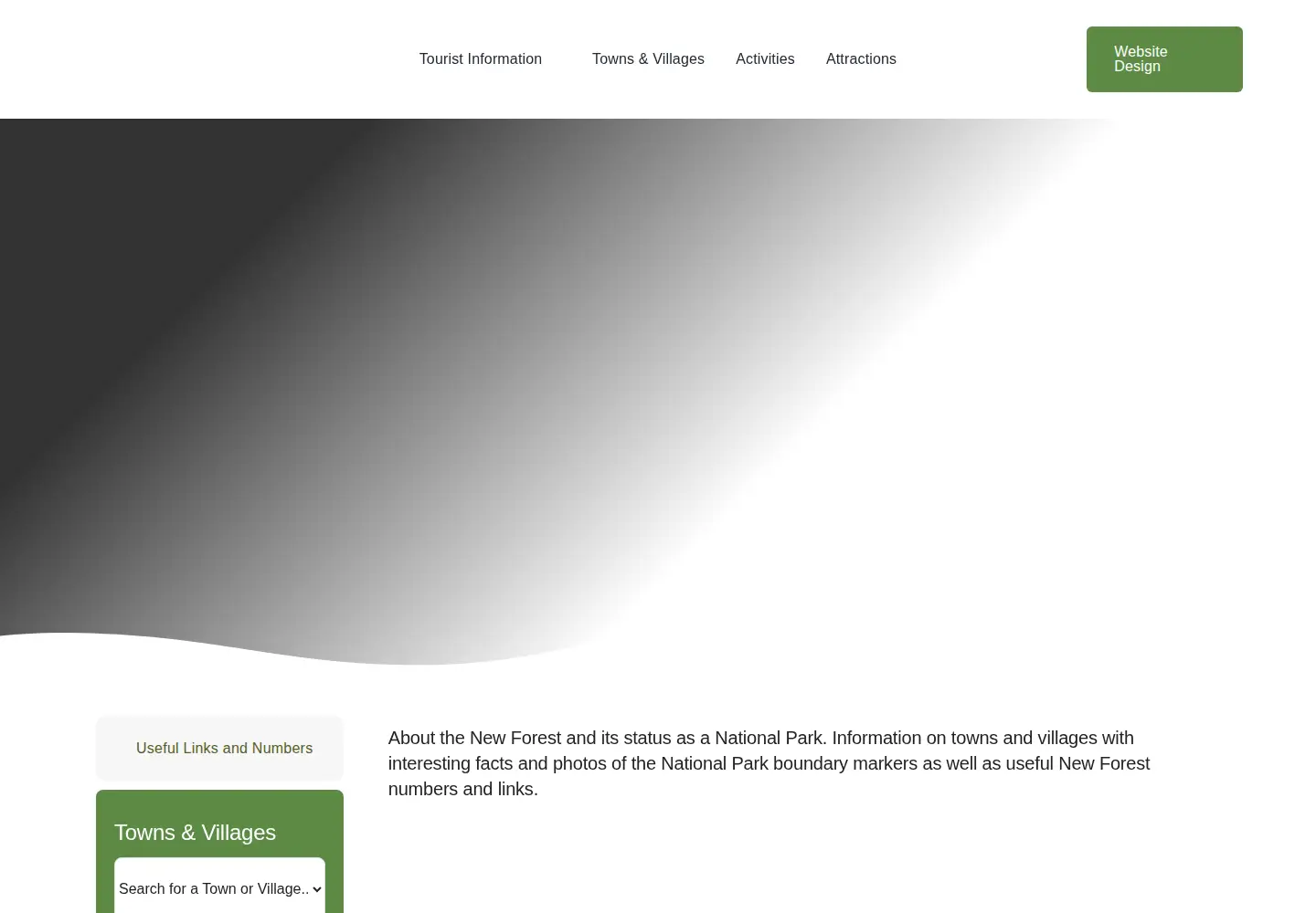 Screenshot of newforest-online.co.uk
