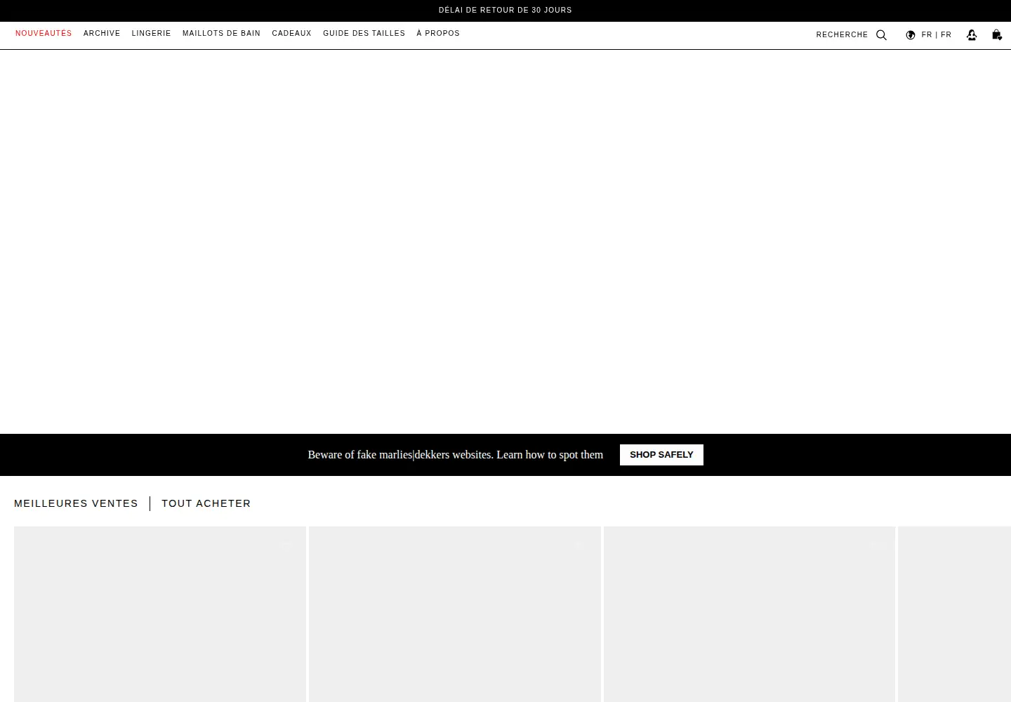 Captured homepage of marliesdekkers.nl in the current scan