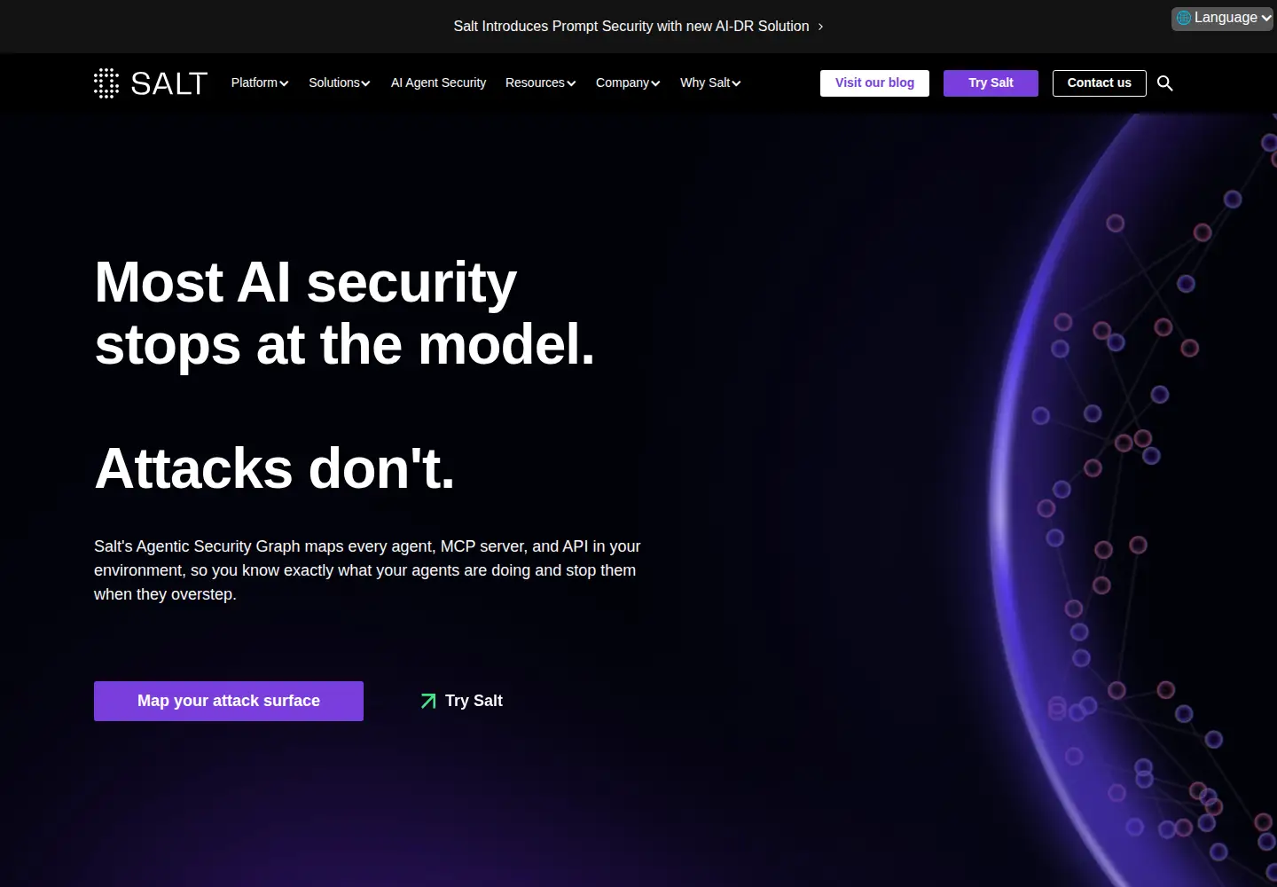 Screenshot of salt.security