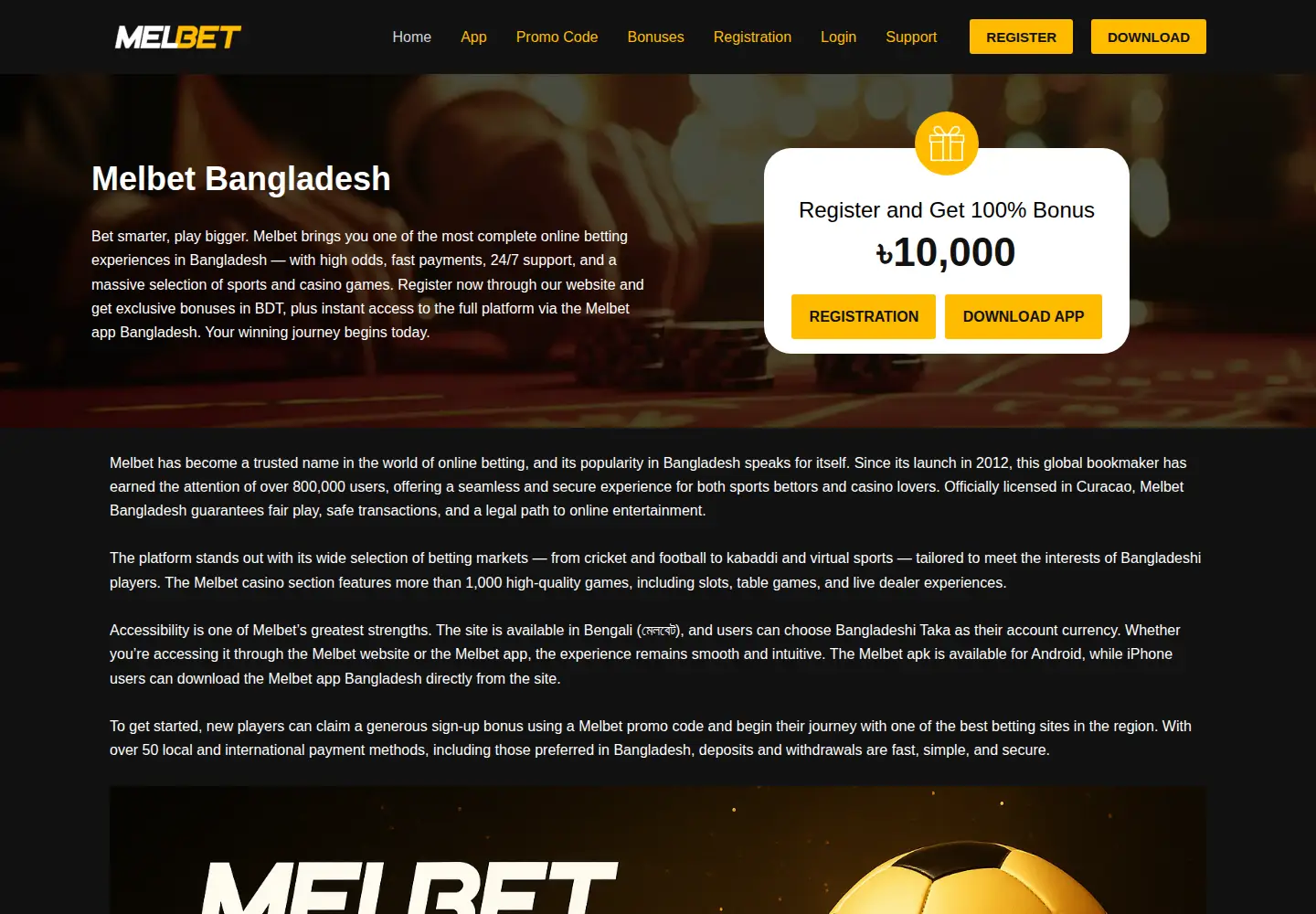 Screenshot of amidasimputer.com