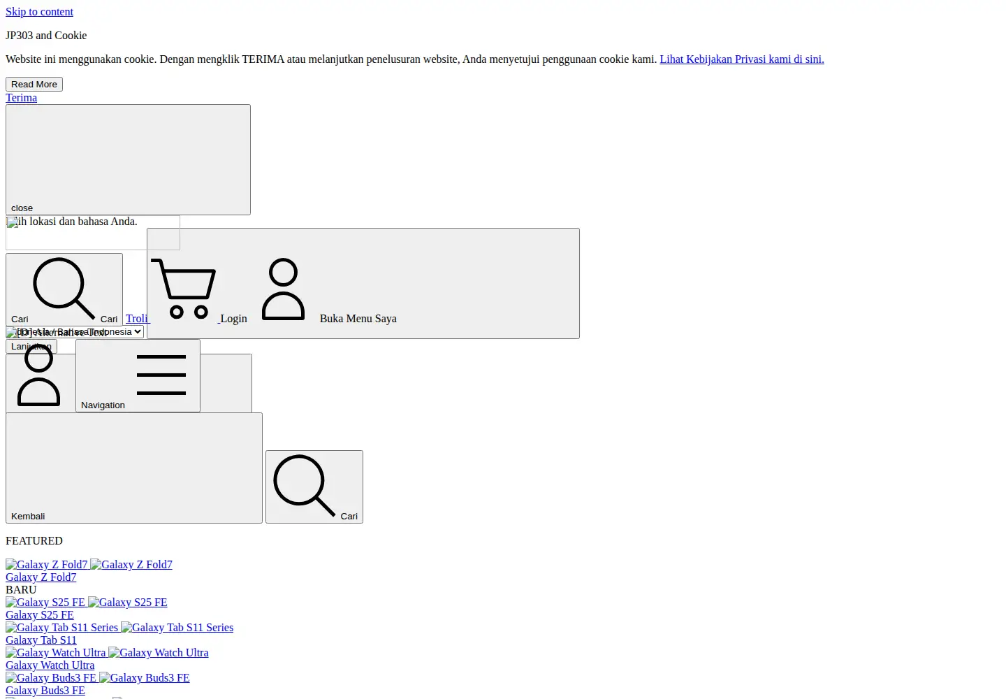Captured homepage of minaassadi.com in the current scan
