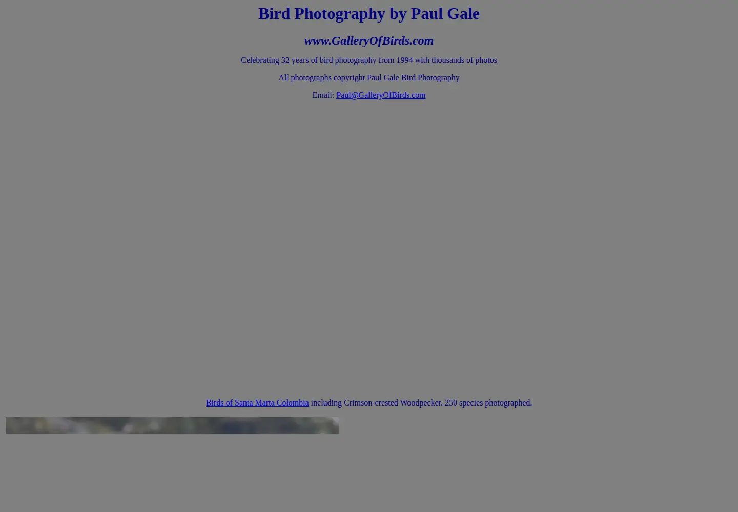 Screenshot of galleryofbirds.com