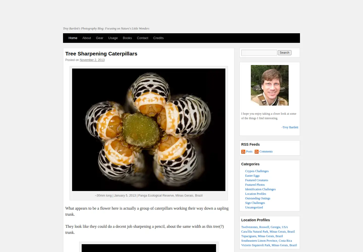 Screenshot of naturecloseups.com