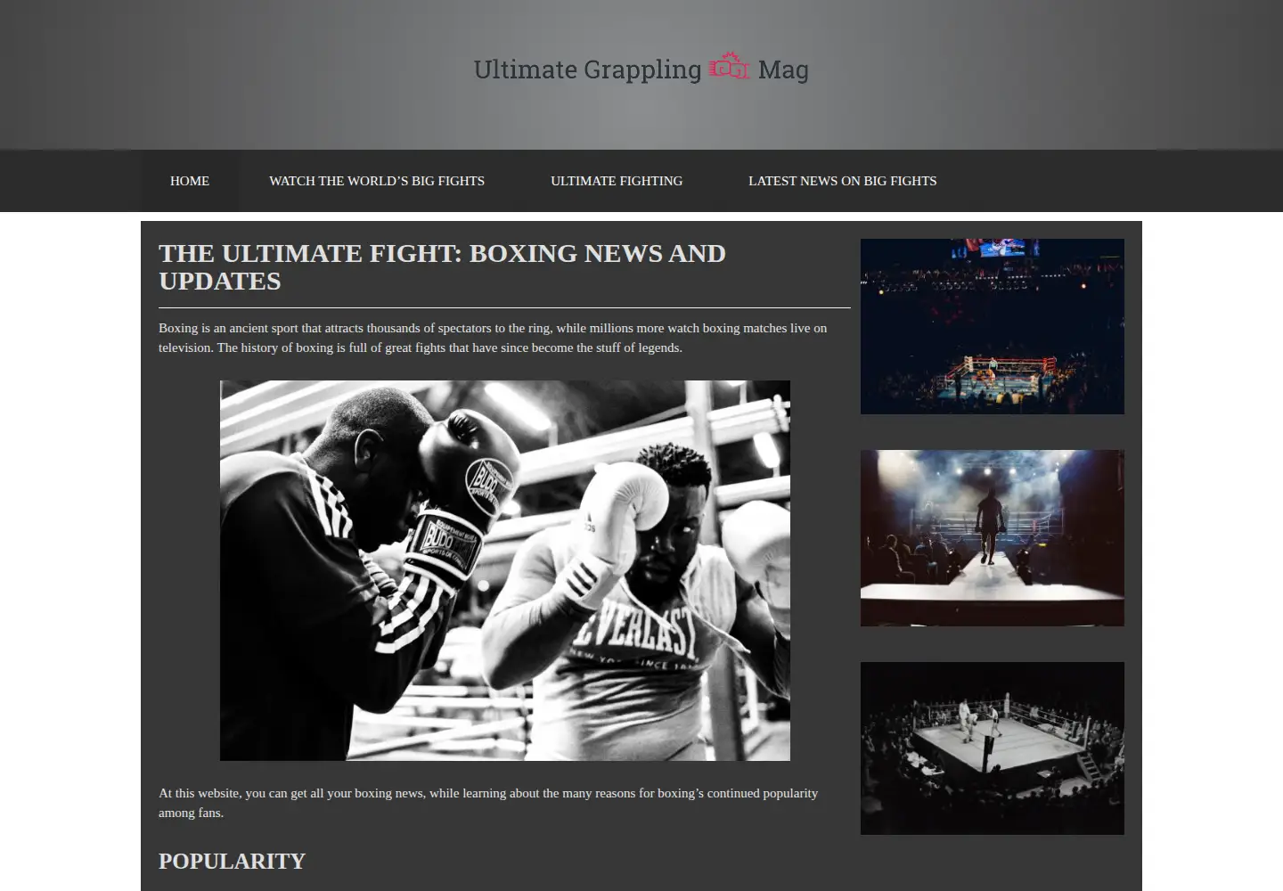 Captured homepage of ultimategrapplingmag.com in the current scan