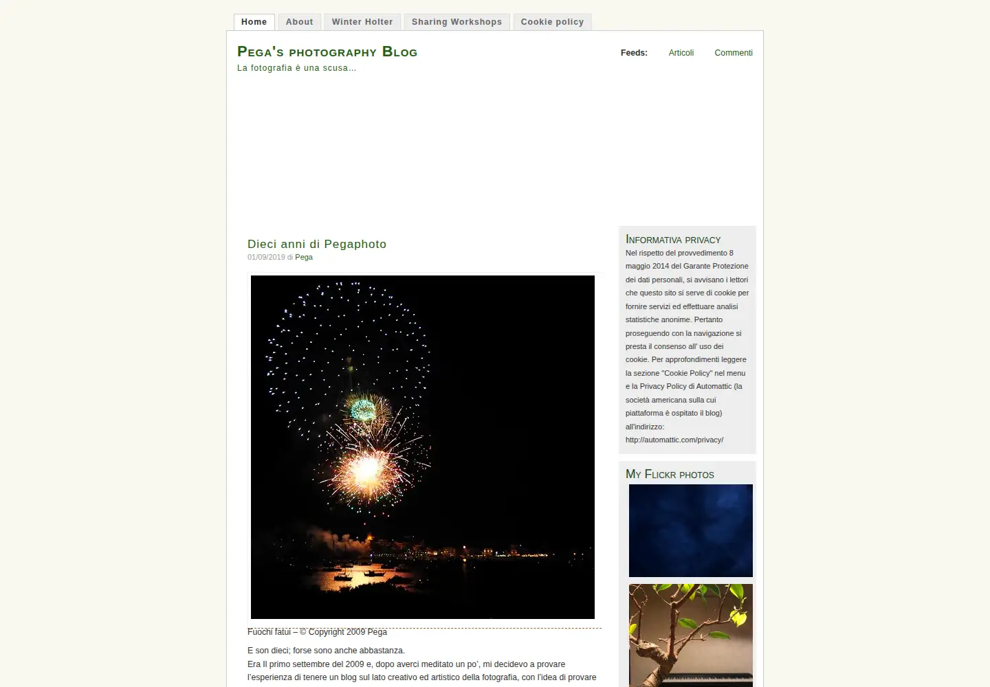 Captured homepage of pegaphoto.com in the current scan